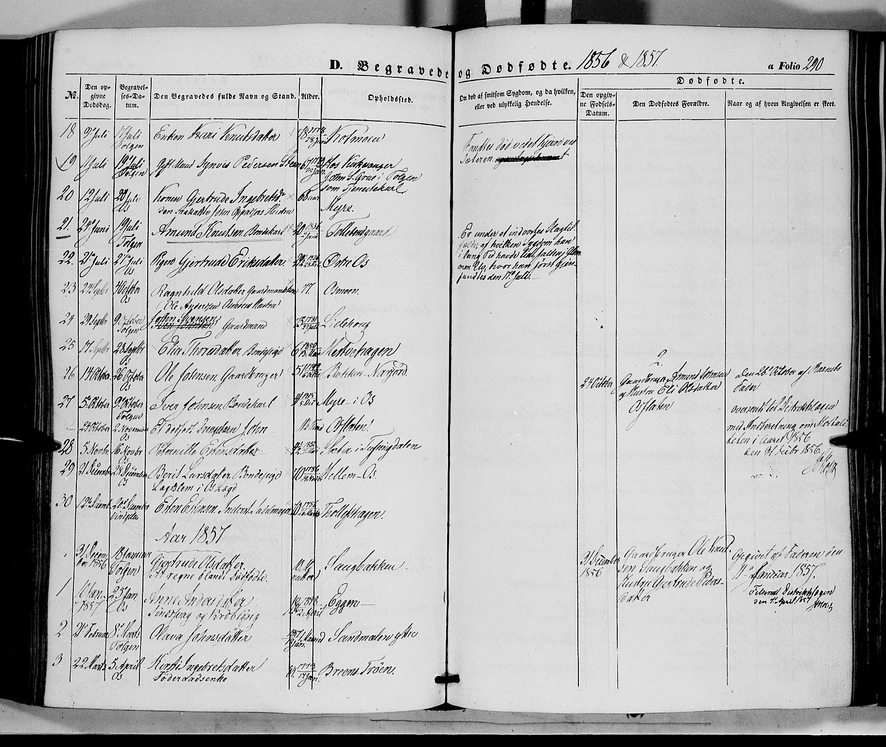 Tolga prestekontor, AV/SAH-PREST-062/K/L0006: Ministerialbok nr. 6, 1852-1876, s. 290