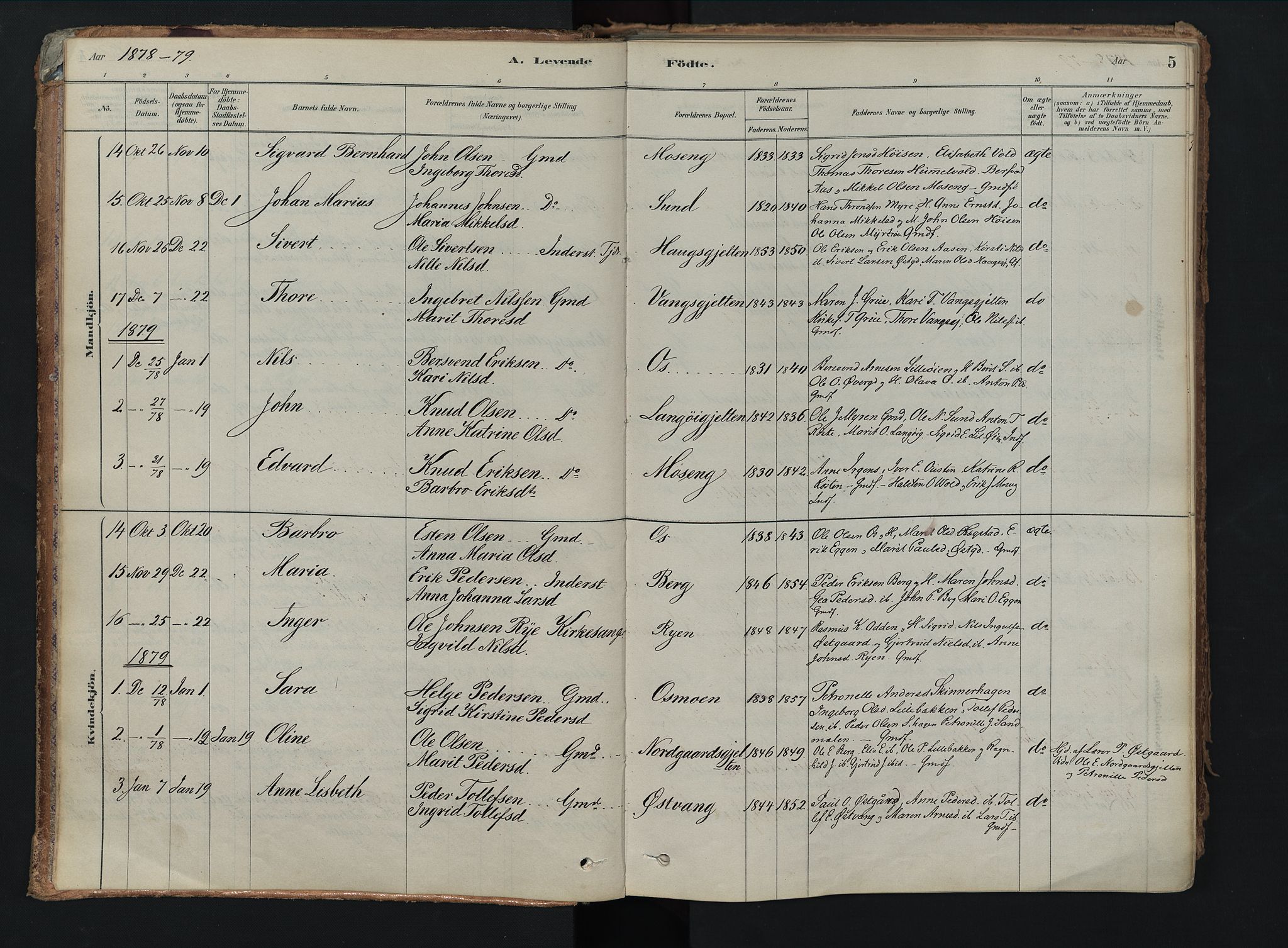 Tolga prestekontor, AV/SAH-PREST-062/K/L0008: Ministerialbok nr. 8, 1877-1910, s. 5