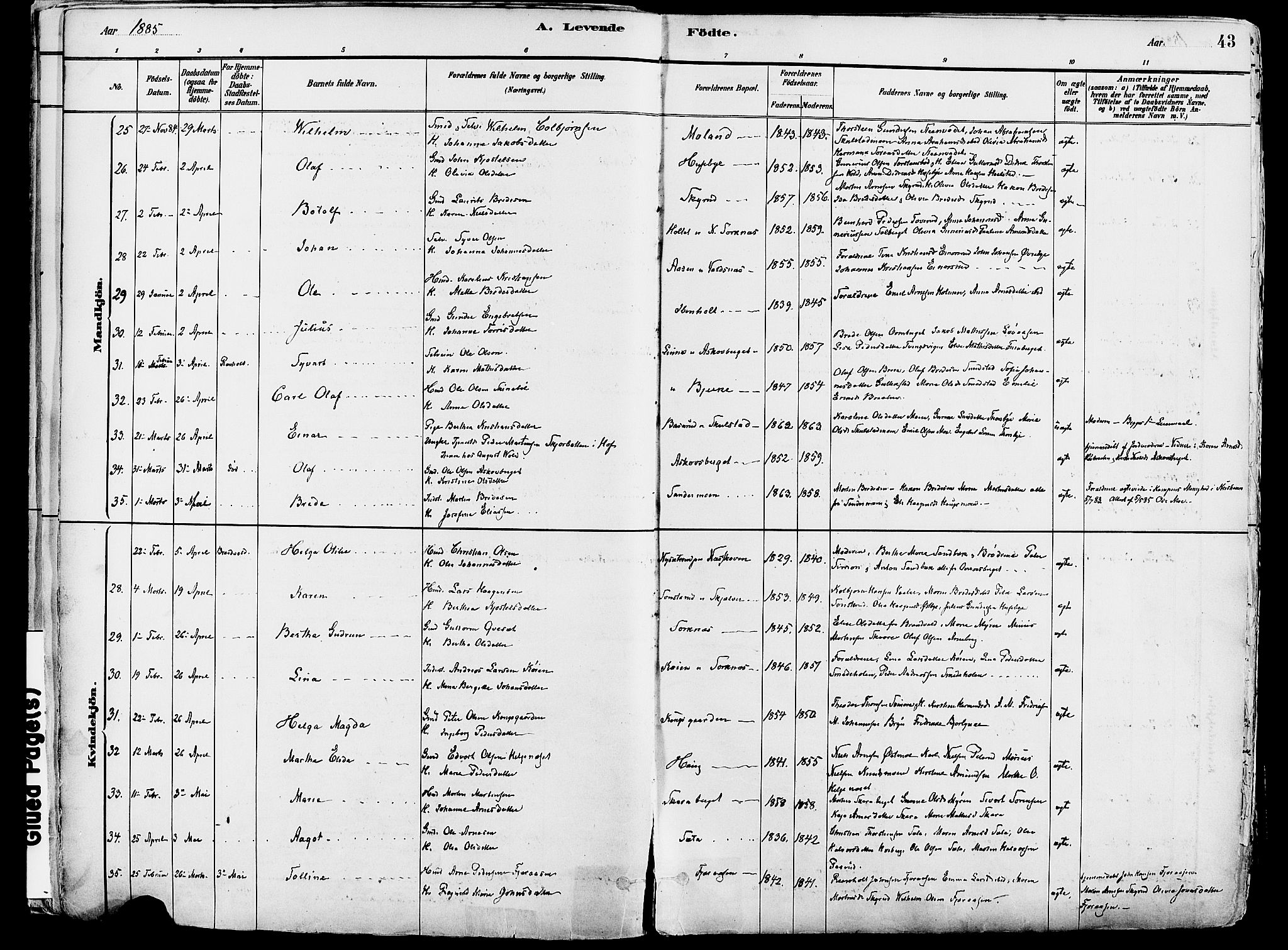 Grue prestekontor, AV/SAH-PREST-036/H/Ha/Haa/L0012: Ministerialbok nr. 12, 1881-1897, s. 43