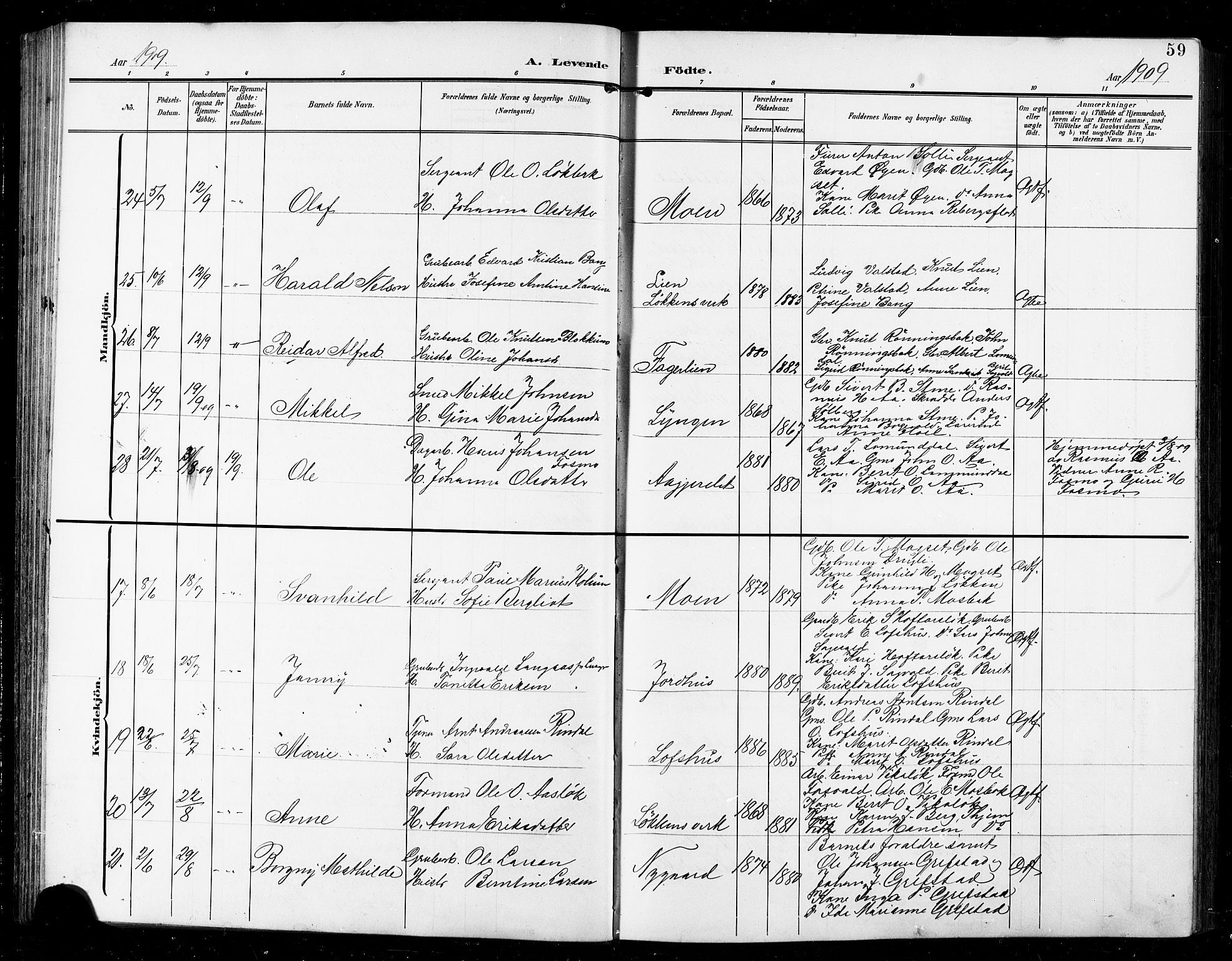 Ministerialprotokoller, klokkerbøker og fødselsregistre - Sør-Trøndelag, AV/SAT-A-1456/672/L0864: Klokkerbok nr. 672C03, 1902-1914, s. 59