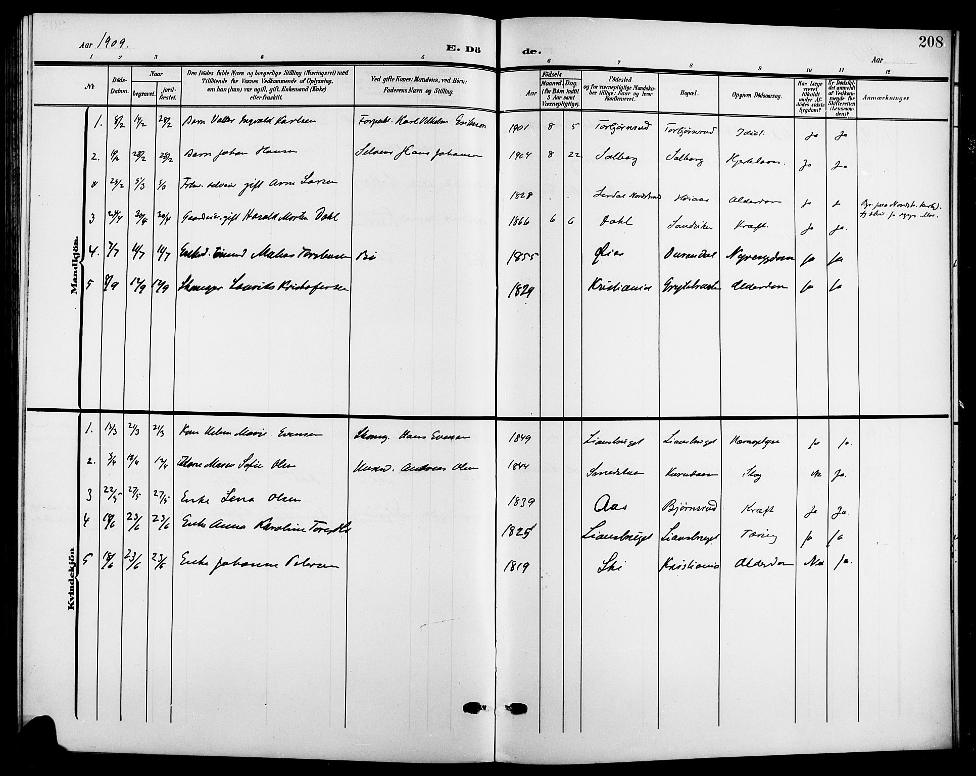 Nesodden prestekontor Kirkebøker, AV/SAO-A-10013/G/Gb/L0001: Klokkerbok nr. II 1, 1905-1924, s. 208