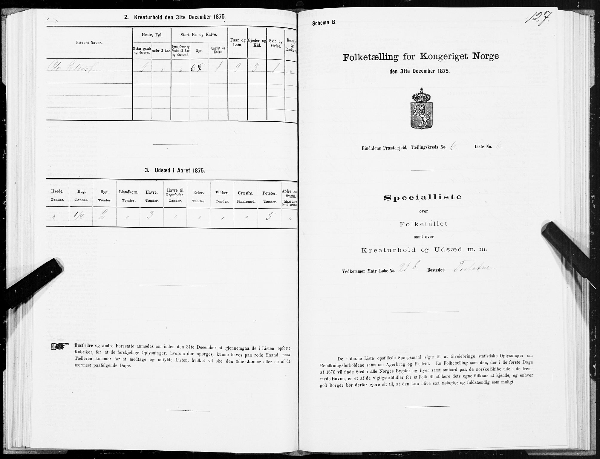 SAT, Folketelling 1875 for 1811P Bindal prestegjeld, 1875, s. 2127