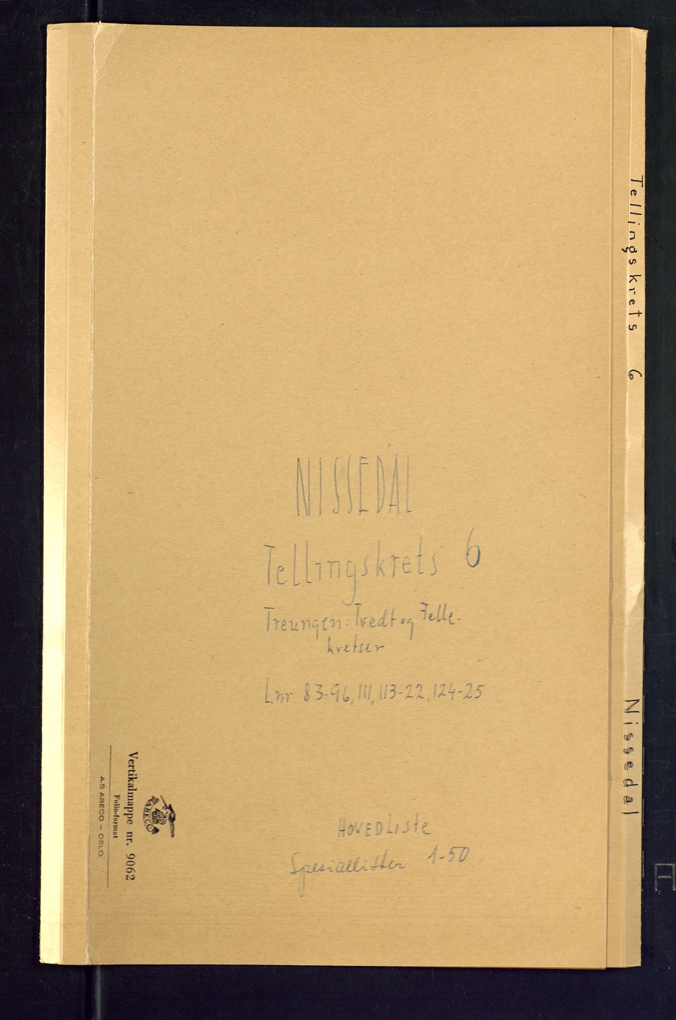 SAKO, Folketelling 1875 for 0830P Nissedal prestegjeld, 1875, s. 20