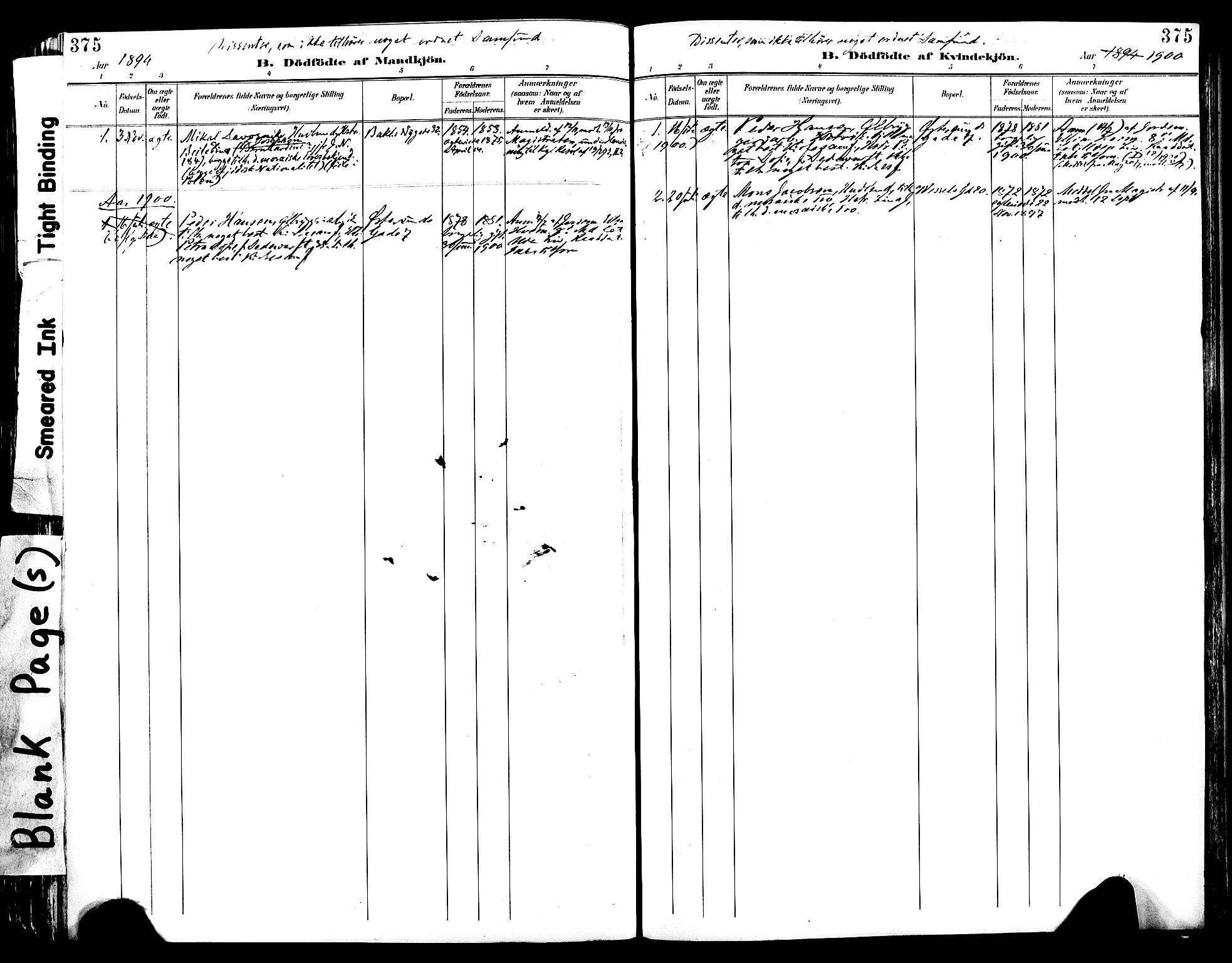 Ministerialprotokoller, klokkerbøker og fødselsregistre - Sør-Trøndelag, SAT/A-1456/604/L0197: Ministerialbok nr. 604A18, 1893-1900, s. 375