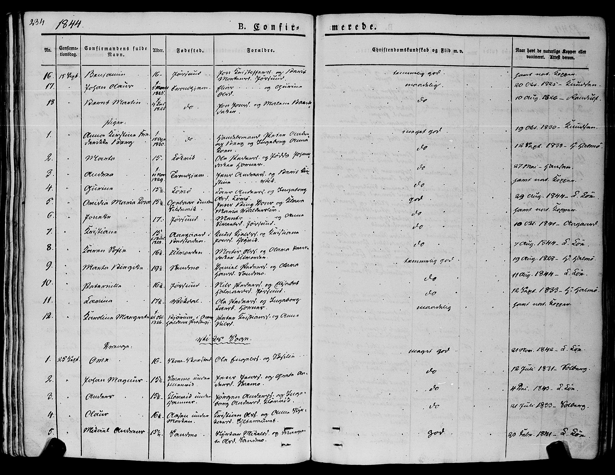 Ministerialprotokoller, klokkerbøker og fødselsregistre - Nord-Trøndelag, AV/SAT-A-1458/773/L0614: Ministerialbok nr. 773A05, 1831-1856, s. 234