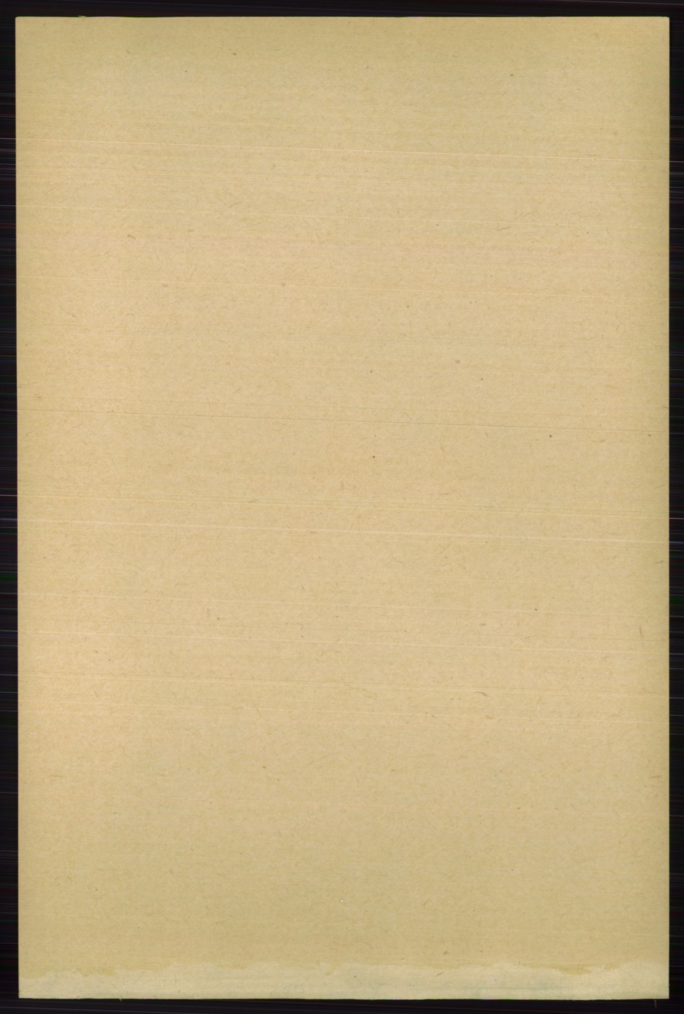RA, Folketelling 1891 for 0715 Botne herred, 1891, s. 1216