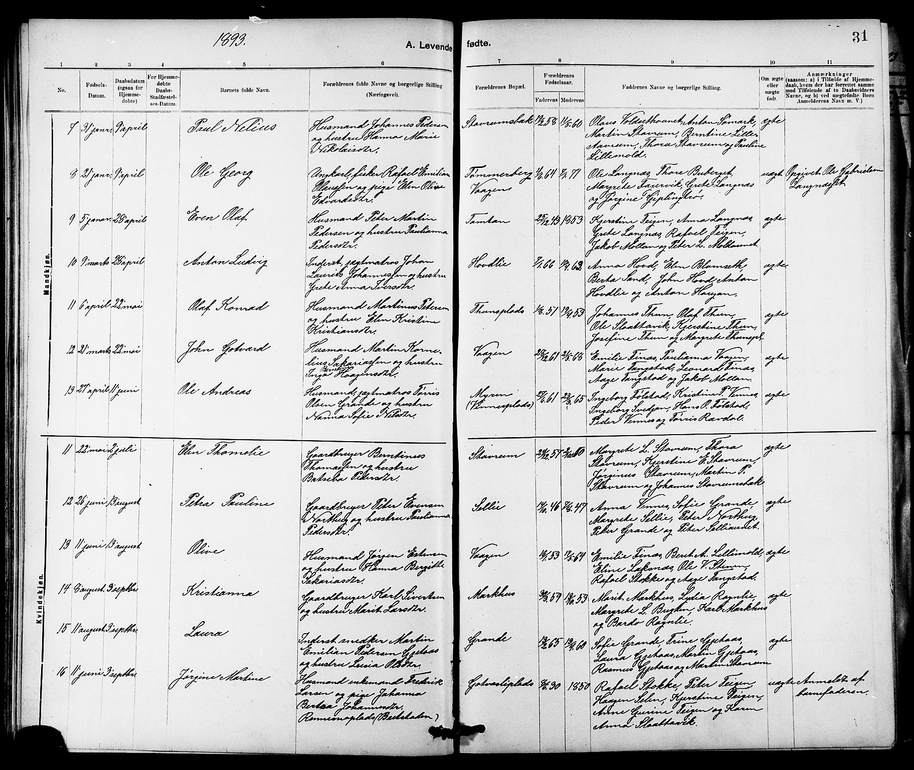 Ministerialprotokoller, klokkerbøker og fødselsregistre - Nord-Trøndelag, SAT/A-1458/744/L0423: Klokkerbok nr. 744C02, 1886-1905, s. 31