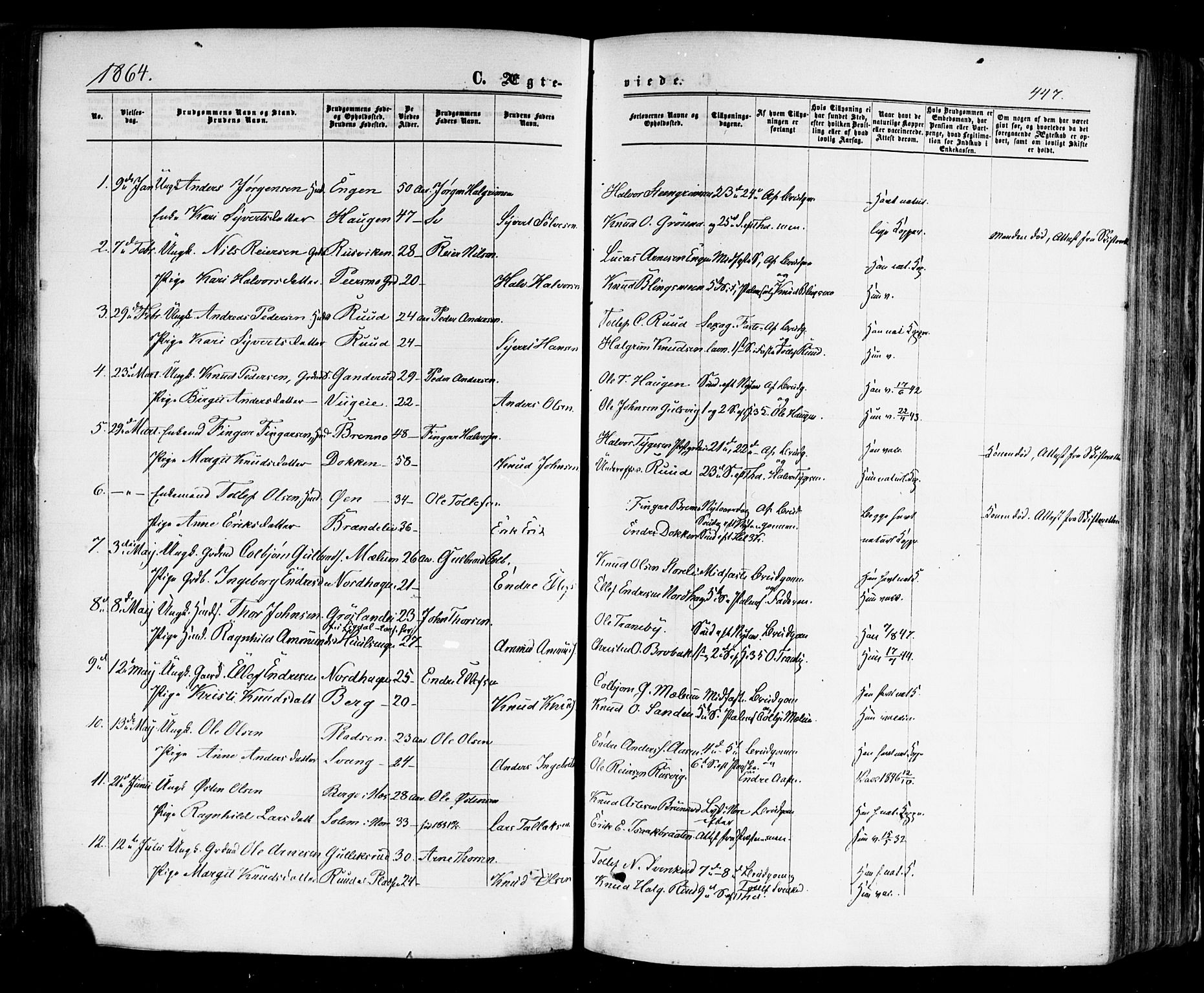 Nes kirkebøker, AV/SAKO-A-236/F/Fa/L0010: Ministerialbok nr. 10, 1864-1880, s. 447