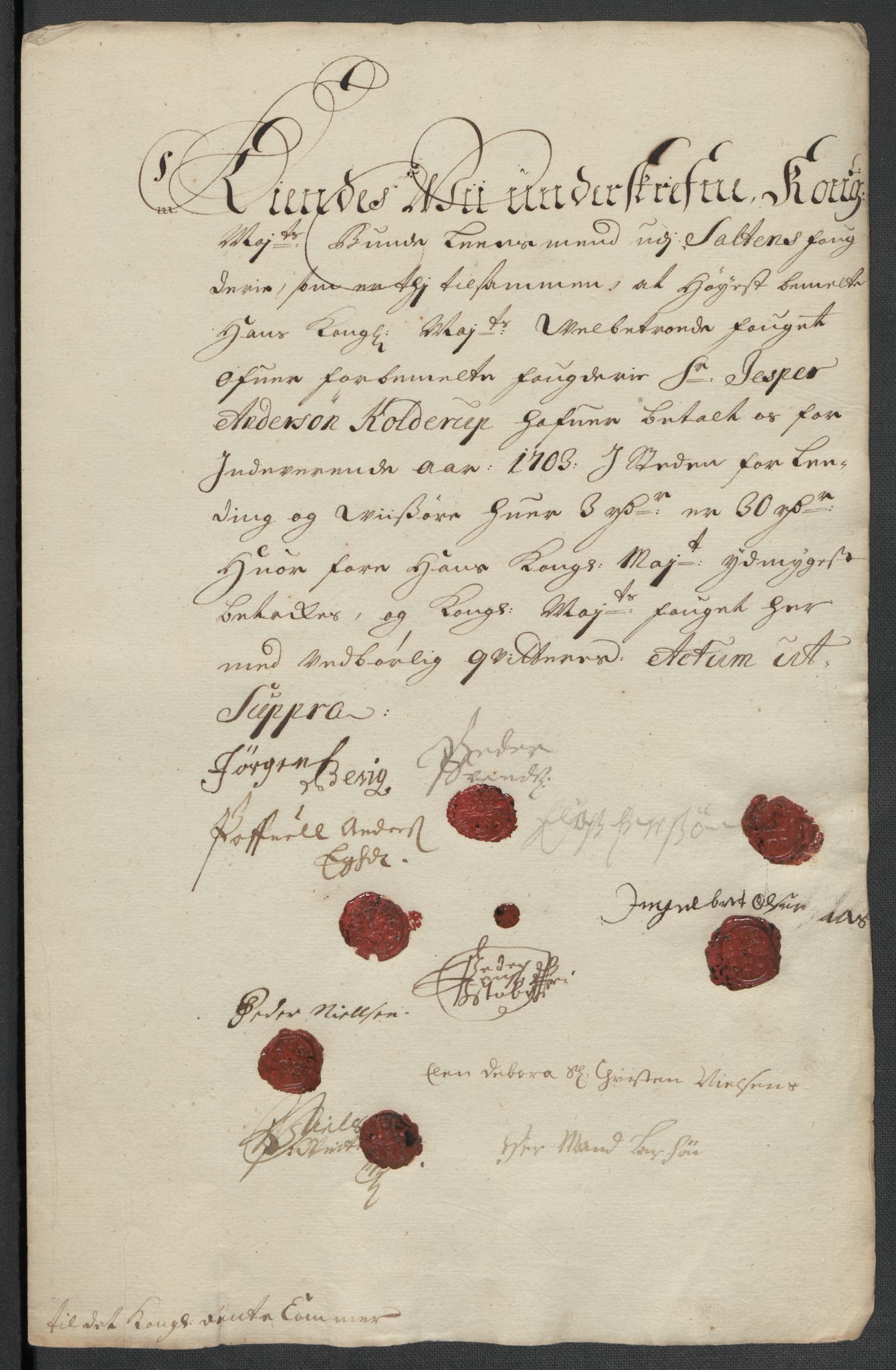 Rentekammeret inntil 1814, Reviderte regnskaper, Fogderegnskap, AV/RA-EA-4092/R66/L4580: Fogderegnskap Salten, 1701-1706, s. 225