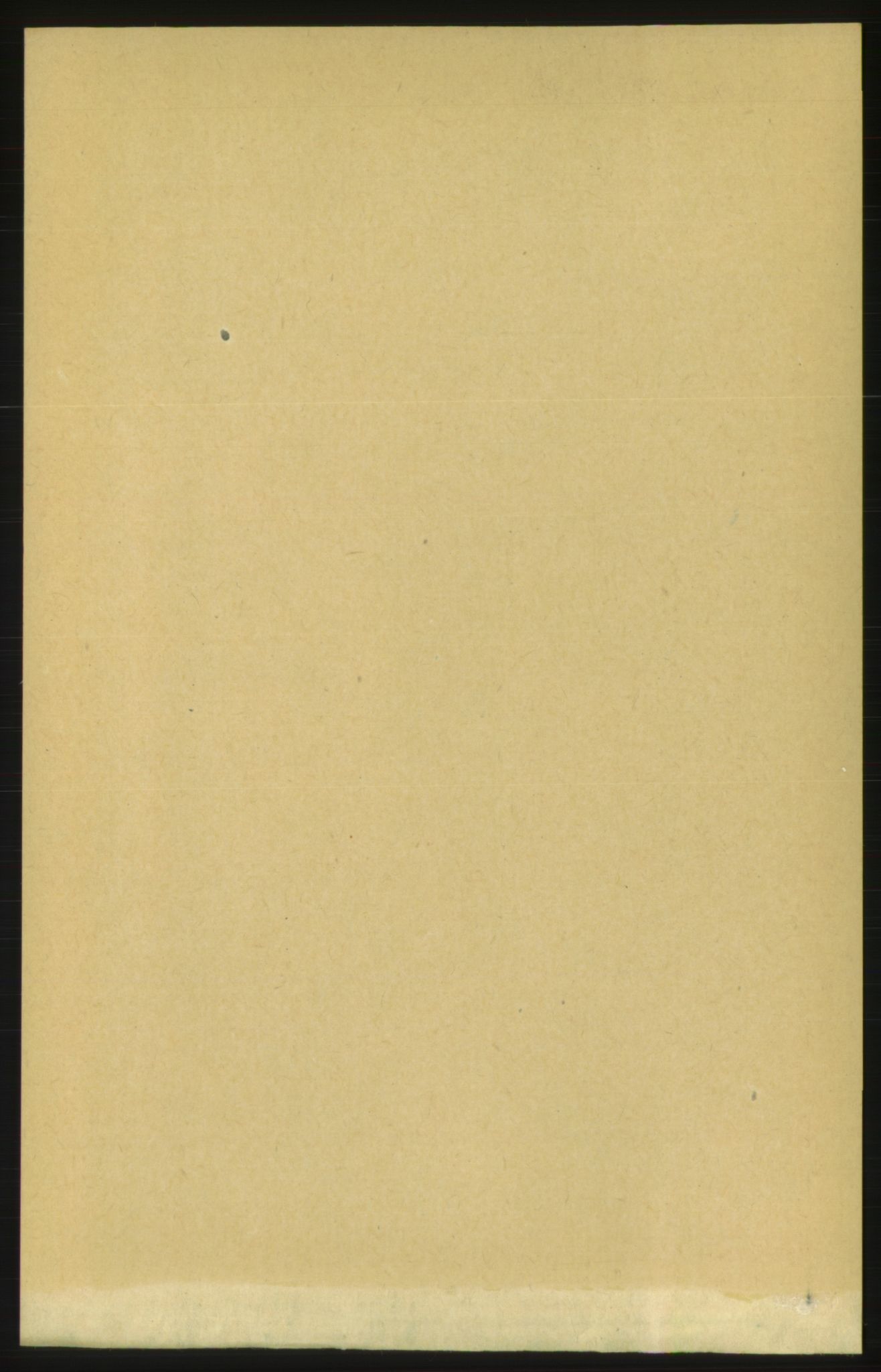 RA, Folketelling 1891 for 1539 Grytten herred, 1891, s. 924