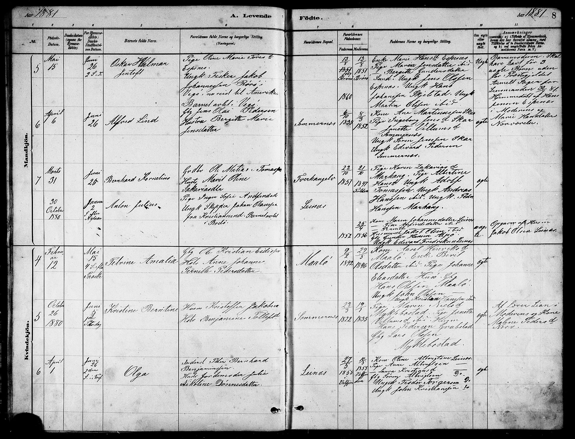 Ministerialprotokoller, klokkerbøker og fødselsregistre - Nordland, AV/SAT-A-1459/857/L0828: Klokkerbok nr. 857C03, 1879-1908, s. 8