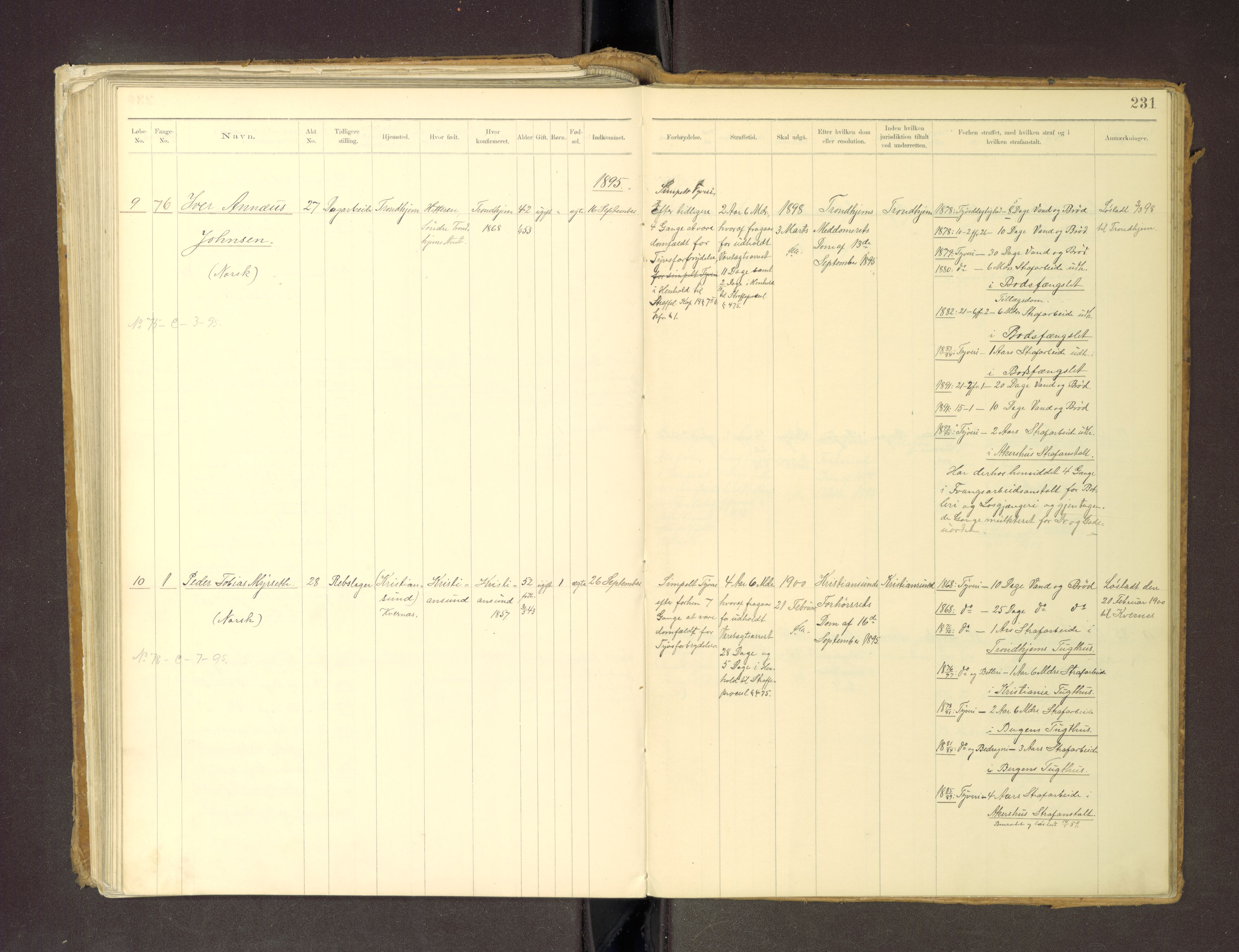 Trondheim tukthus, SAT/A-4619/05/65/L0036: 65.36 Fangeprotokoll m/reg, 1885-1898, s. 231