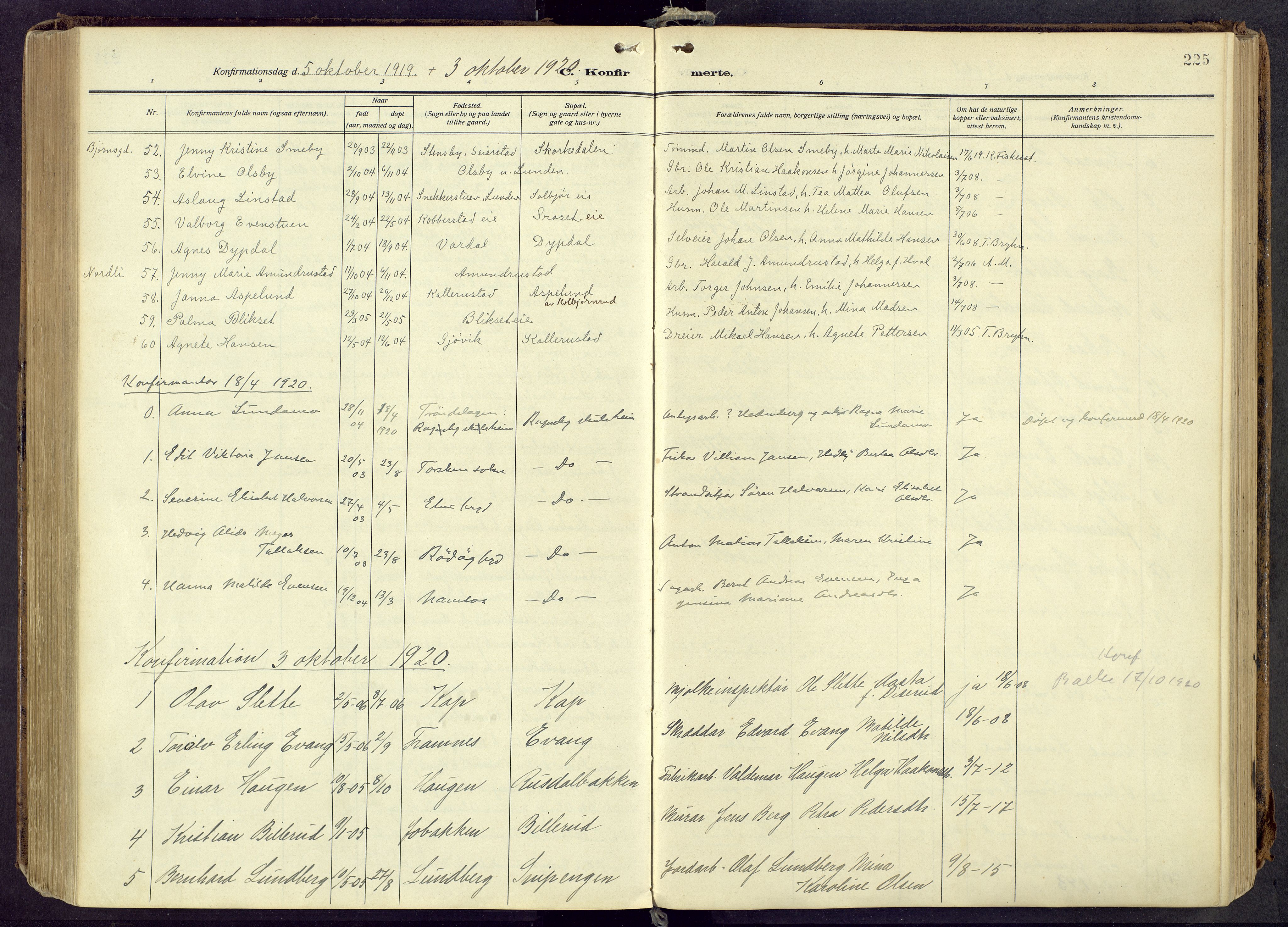 Østre Toten prestekontor, AV/SAH-PREST-104/H/Ha/Haa/L0010: Ministerialbok nr. 10, 1910-1920, s. 225
