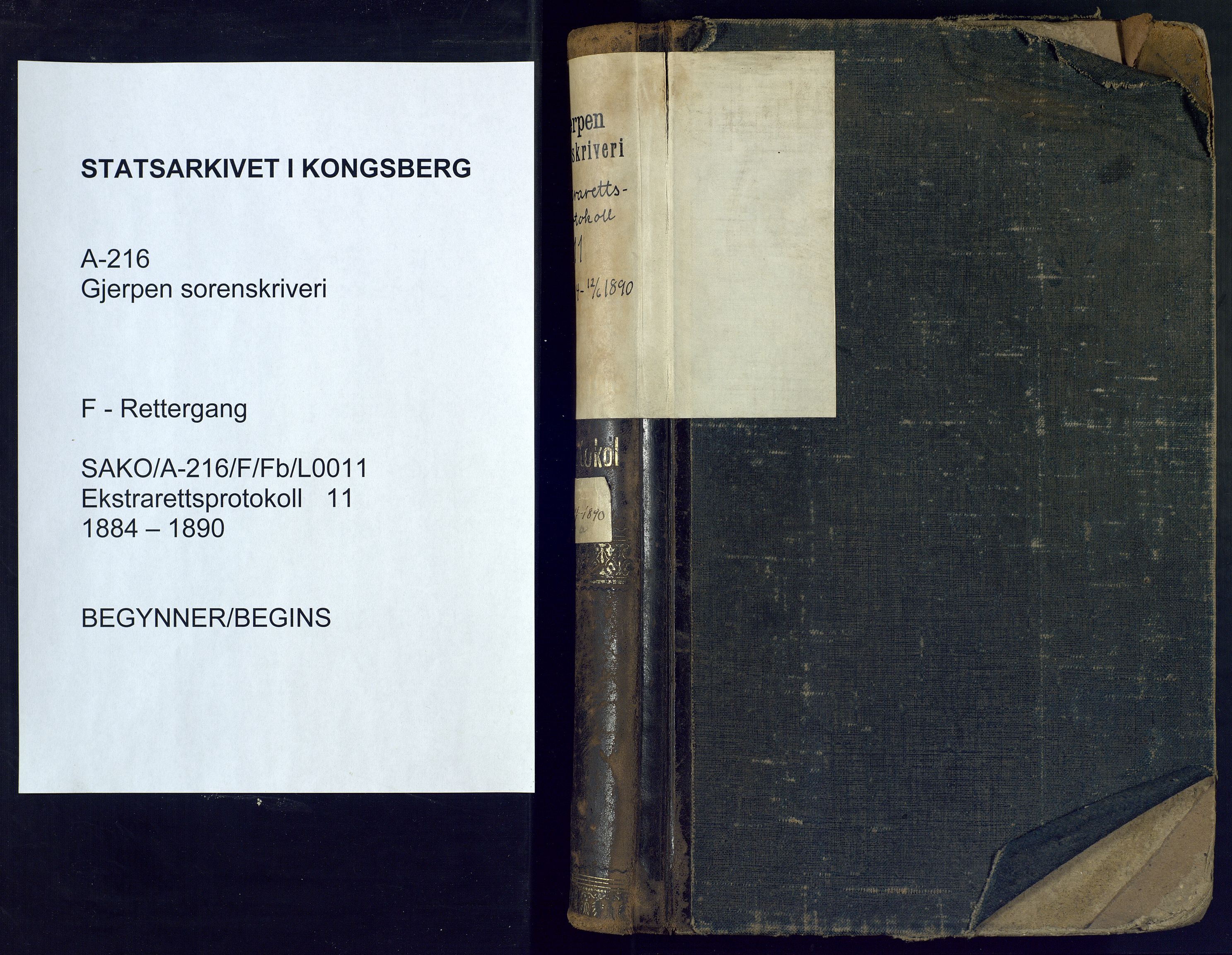 Gjerpen sorenskriveri, SAKO/A-216/F/Fb/L0011: Ekstrarettsprotokoll, 1884-1890