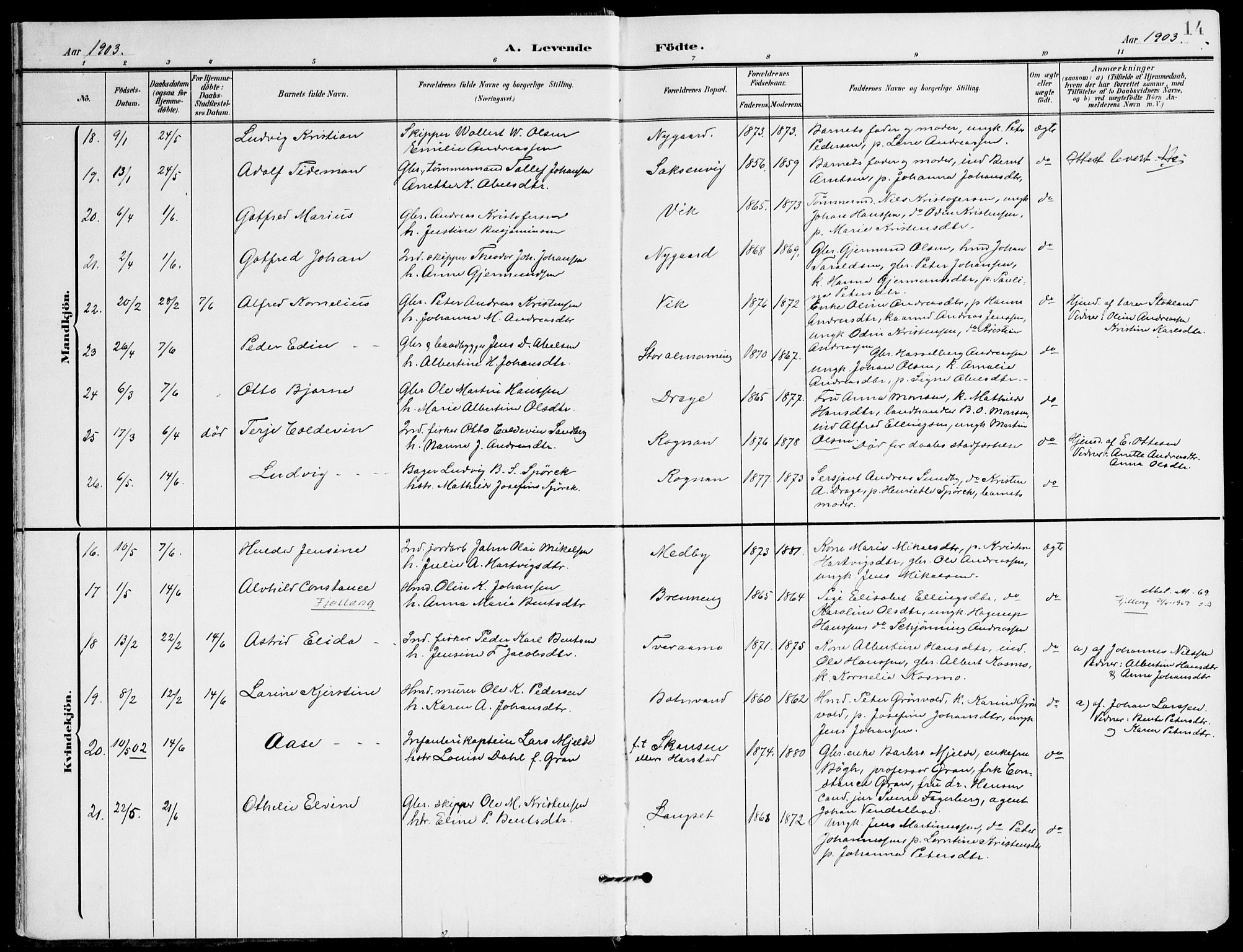 Ministerialprotokoller, klokkerbøker og fødselsregistre - Nordland, AV/SAT-A-1459/847/L0672: Ministerialbok nr. 847A12, 1902-1919, s. 14