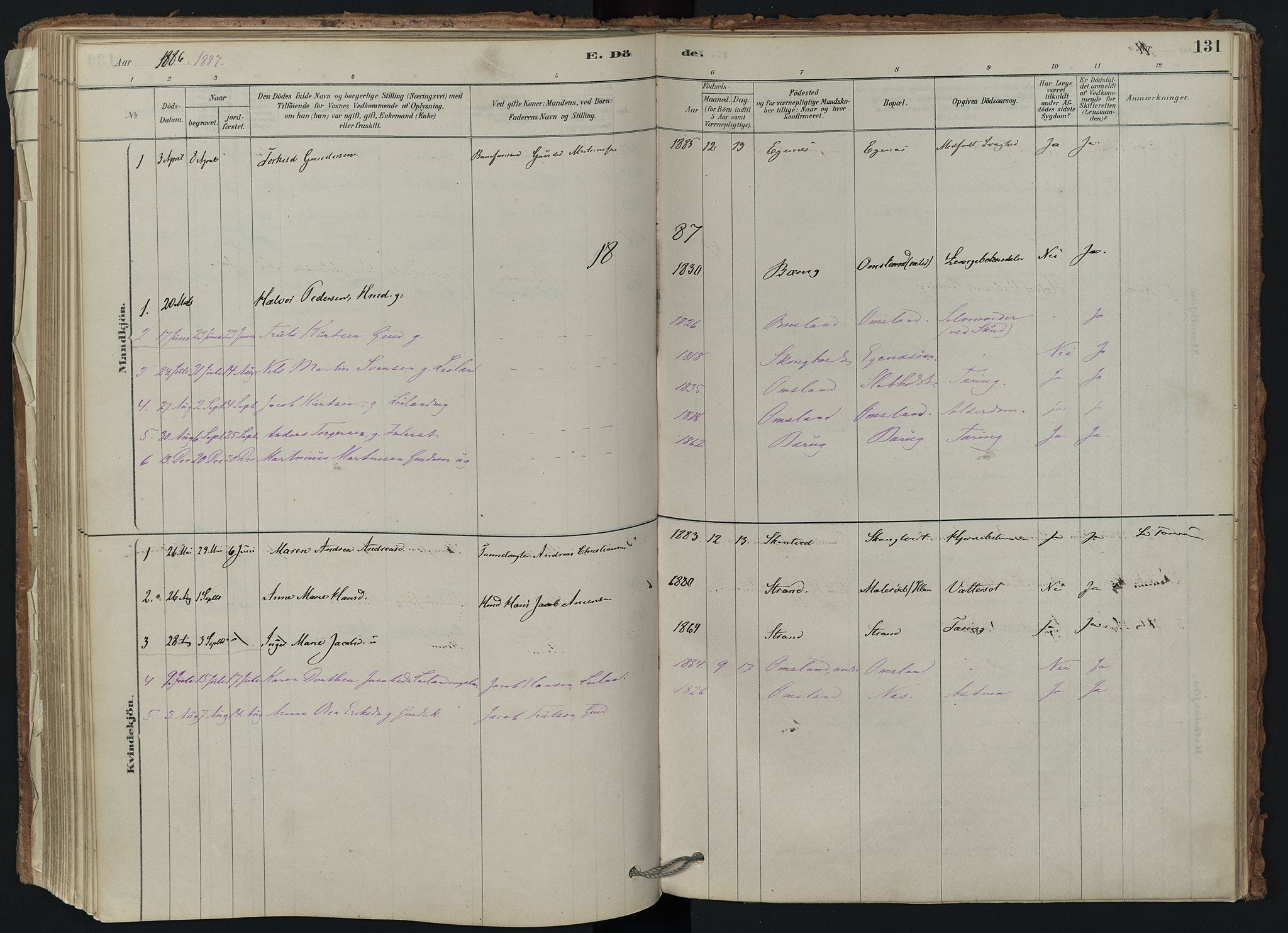 Brunlanes kirkebøker, AV/SAKO-A-342/F/Fd/L0001: Ministerialbok nr. IV 1, 1878-1917, s. 131