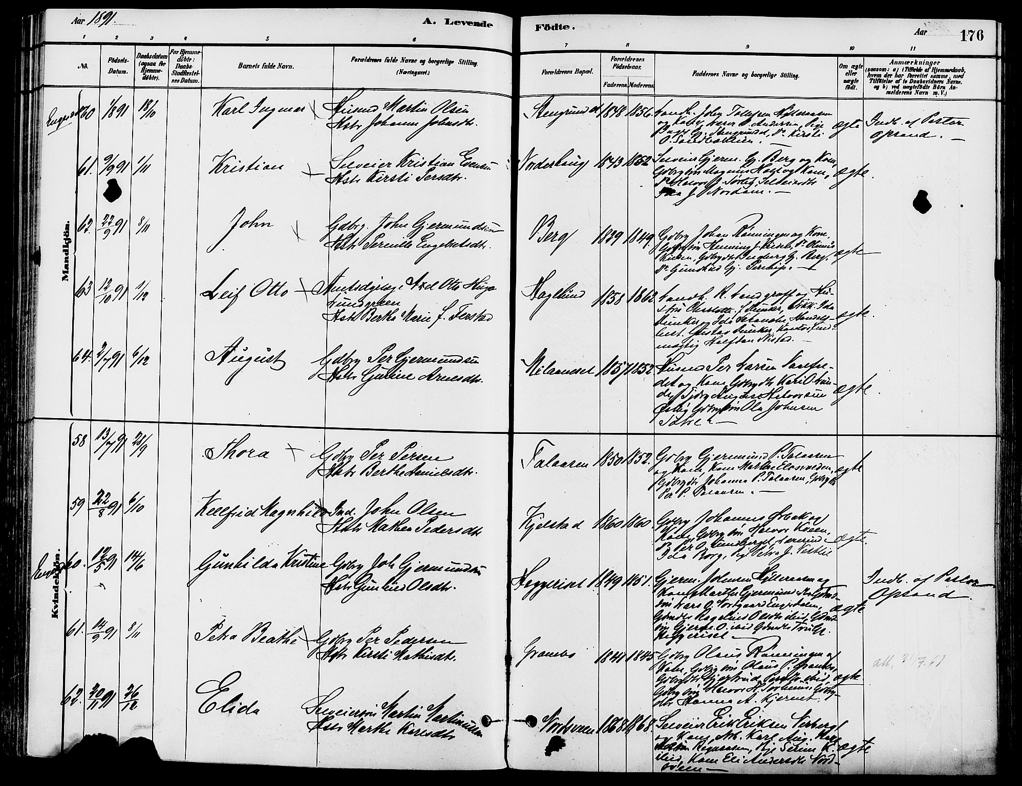 Trysil prestekontor, SAH/PREST-046/H/Ha/Haa/L0008: Ministerialbok nr. 8, 1881-1897, s. 176