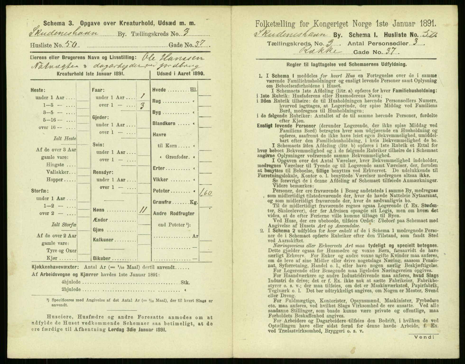 RA, Folketelling 1891 for 1104 Skudeneshavn ladested, 1891, s. 290