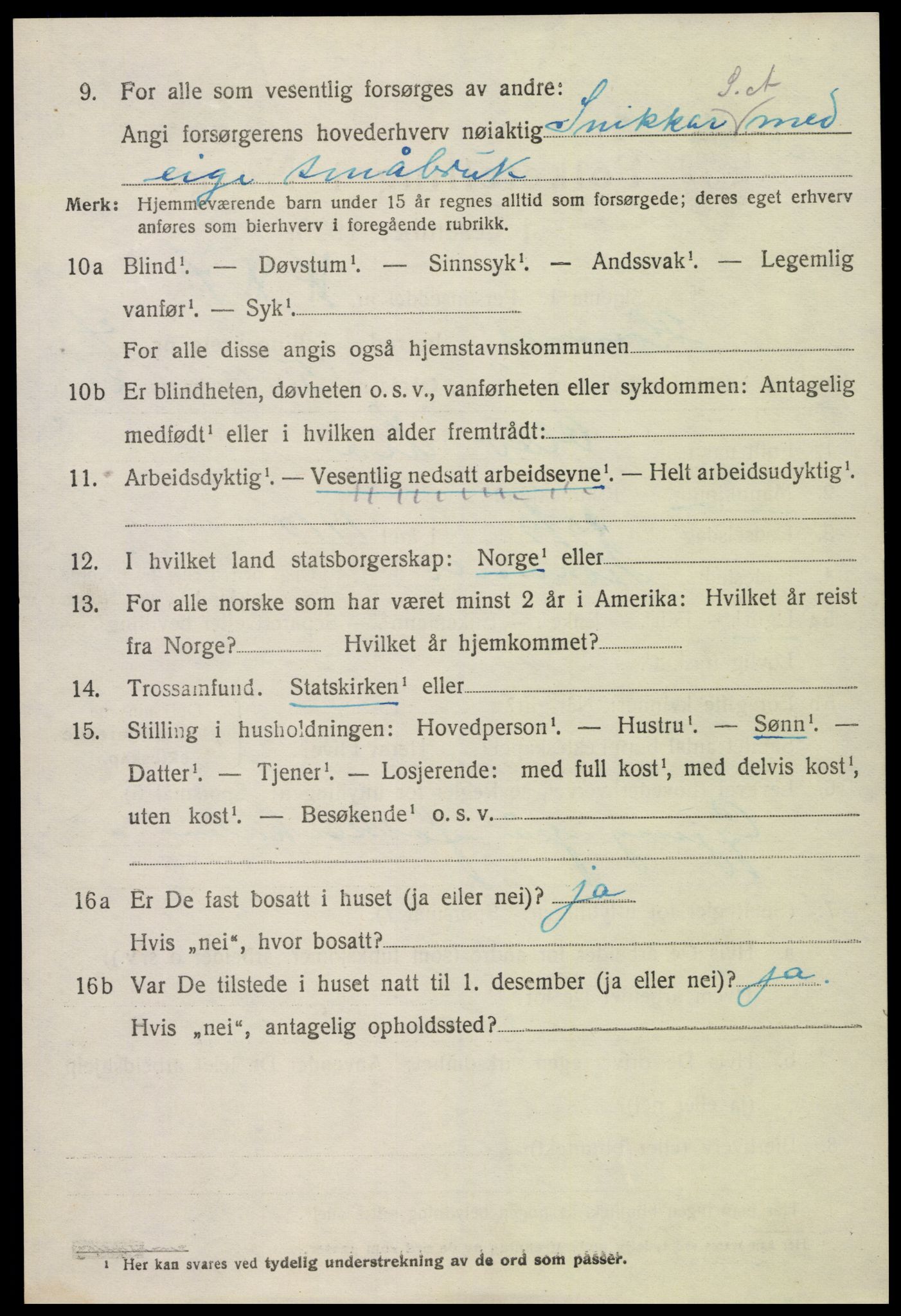SAK, Folketelling 1920 for 0936 Hornnes herred, 1920, s. 1154