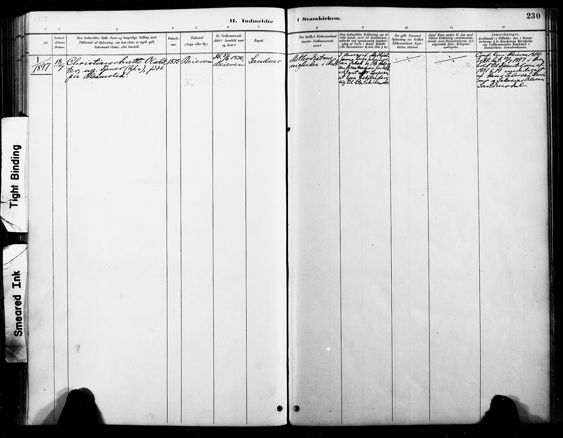 Ministerialprotokoller, klokkerbøker og fødselsregistre - Nordland, SAT/A-1459/846/L0646: Ministerialbok nr. 846A04, 1887-1901, s. 230