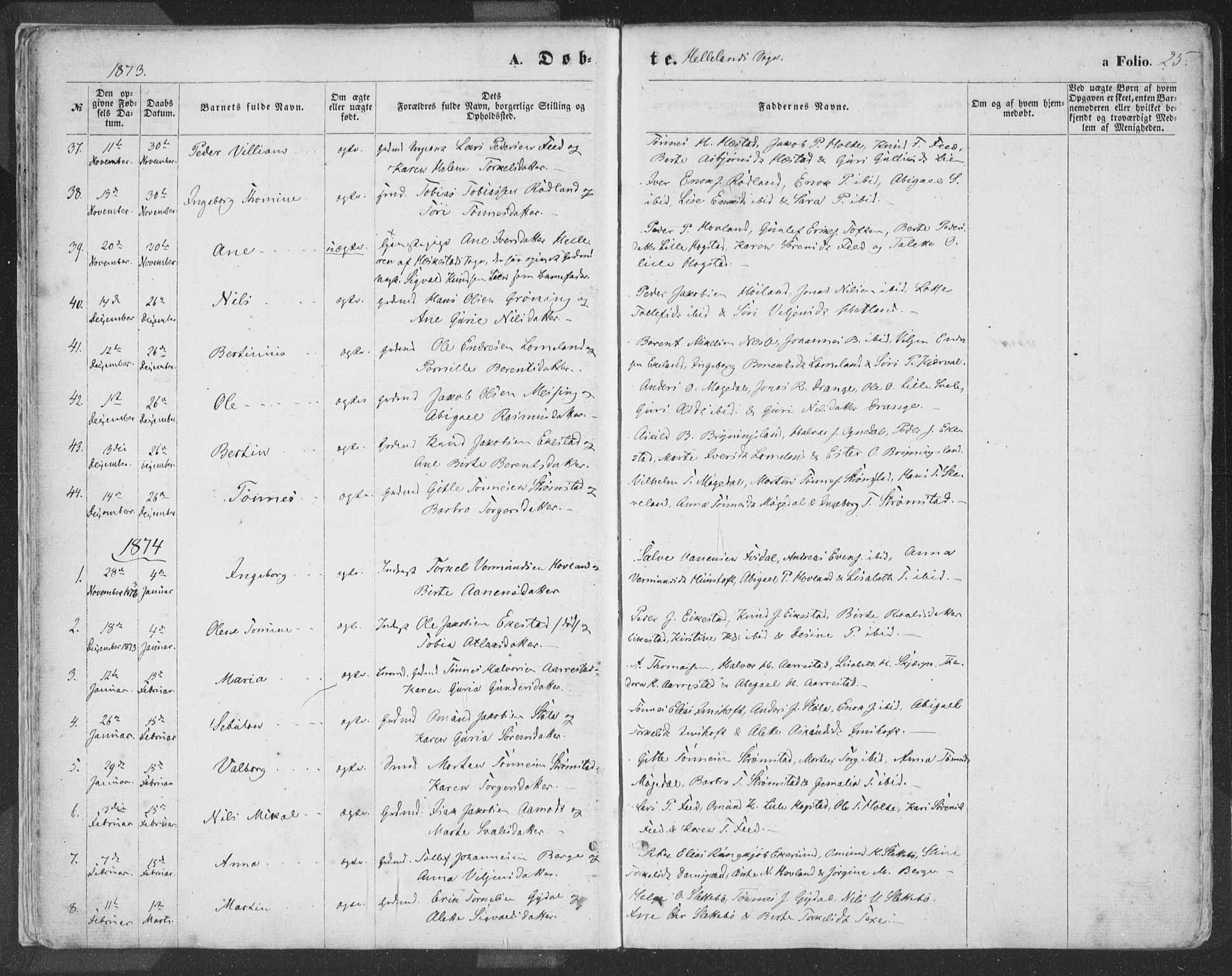 Helleland sokneprestkontor, SAST/A-101810: Ministerialbok nr. A 7.1, 1863-1886, s. 25