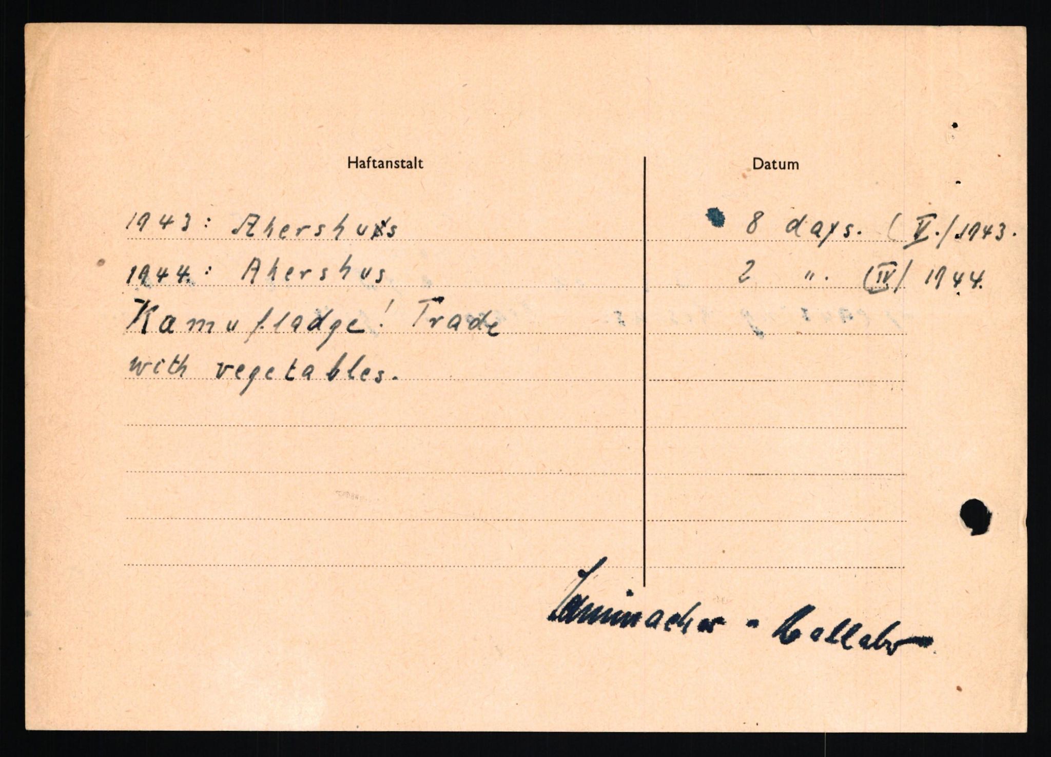 Forsvaret, Forsvarets overkommando II, AV/RA-RAFA-3915/D/Db/L0030: CI Questionaires. Tyske okkupasjonsstyrker i Norge. Tyskere., 1945-1946, s. 465