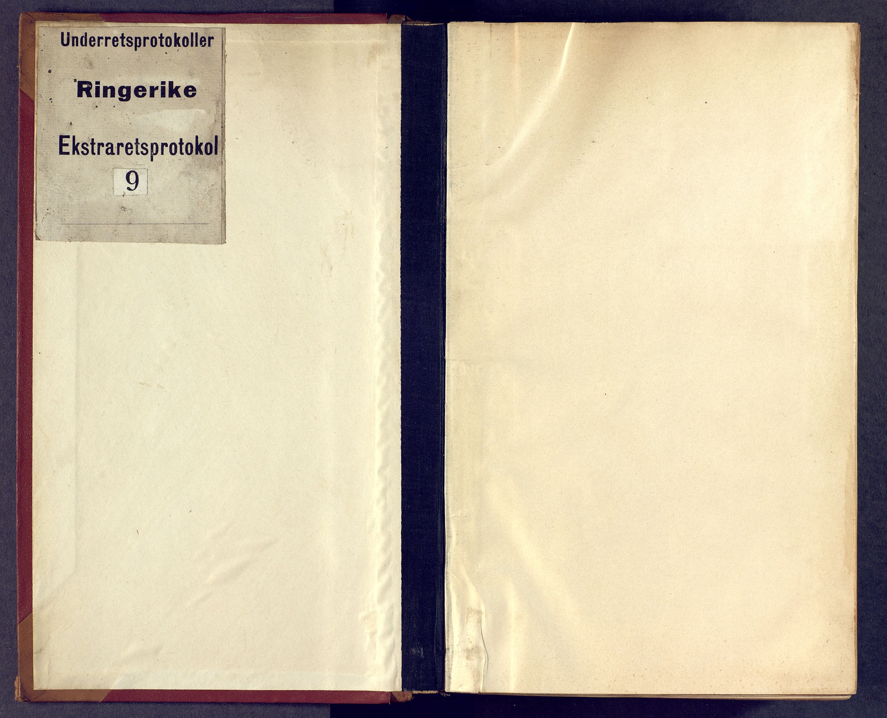 Ringerike sorenskriveri, SAKO/A-105/F/Fc/Fca/L0009: Ekstrarettsprotokoll, 1846-1850