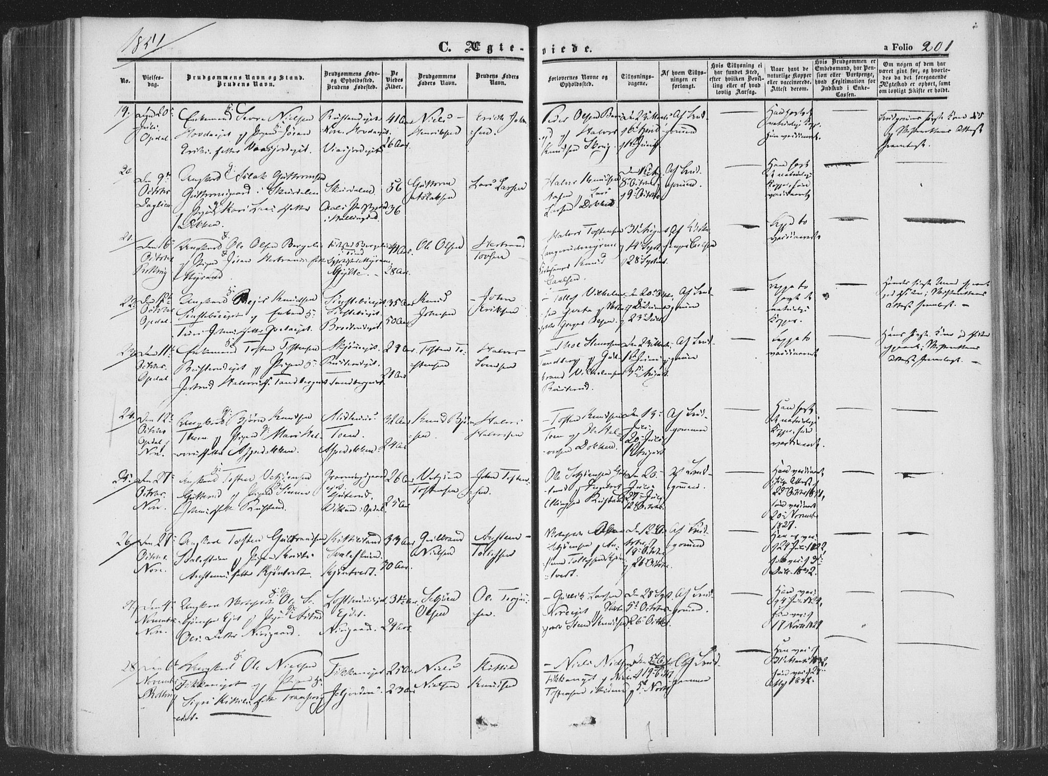 Rollag kirkebøker, AV/SAKO-A-240/F/Fa/L0008: Ministerialbok nr. I 8, 1847-1860, s. 201