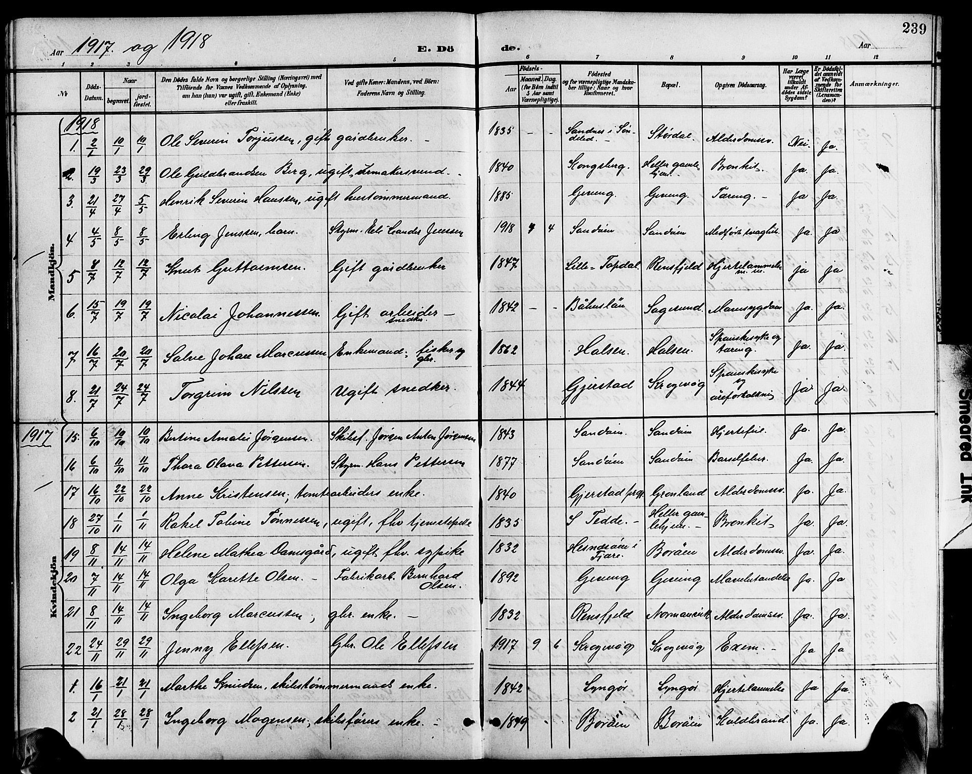 Dypvåg sokneprestkontor, AV/SAK-1111-0007/F/Fb/Fba/L0014: Klokkerbok nr. B 14, 1901-1922, s. 239