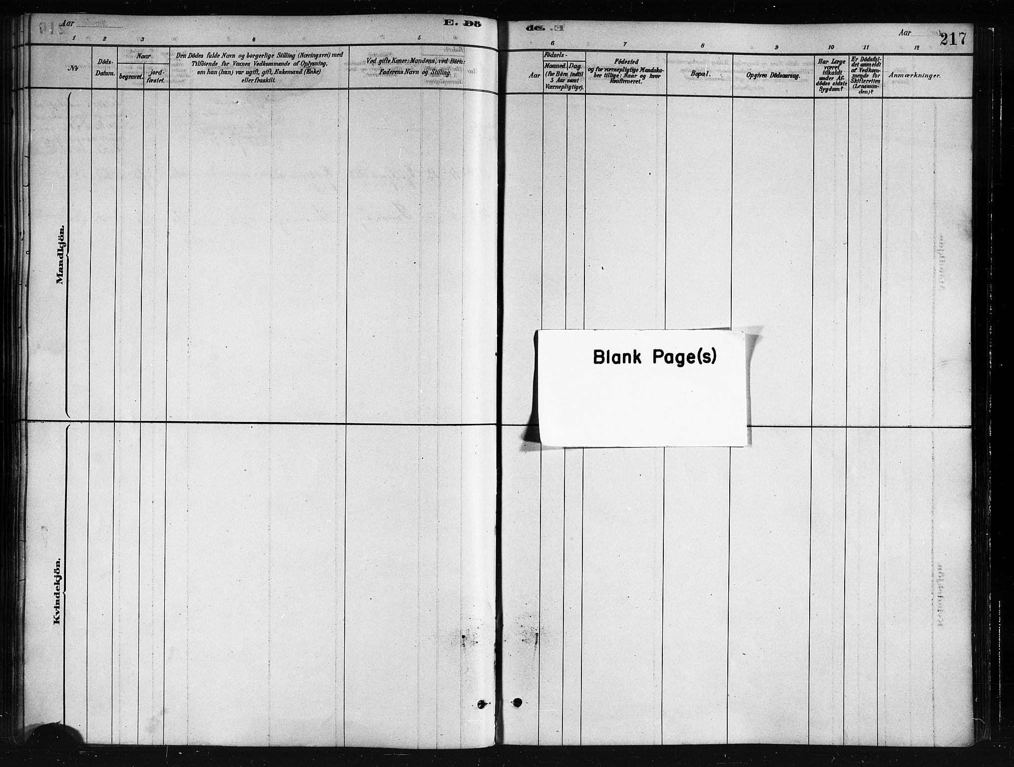 Ministerialprotokoller, klokkerbøker og fødselsregistre - Nordland, SAT/A-1459/893/L1335: Ministerialbok nr. 893A08 /1, 1878-1884, s. 217