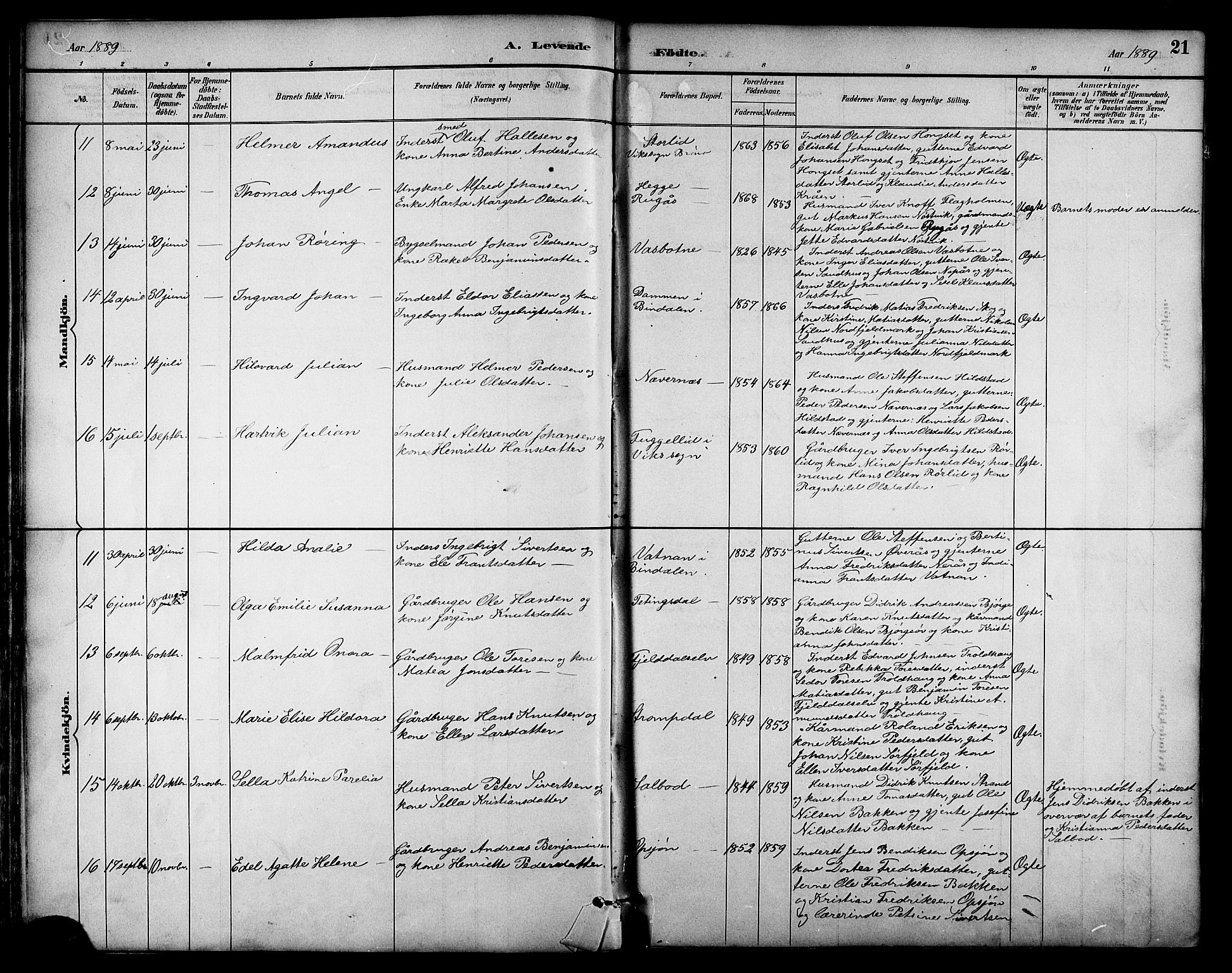 Ministerialprotokoller, klokkerbøker og fødselsregistre - Nordland, AV/SAT-A-1459/814/L0230: Klokkerbok nr. 814C03, 1884-1911, s. 21