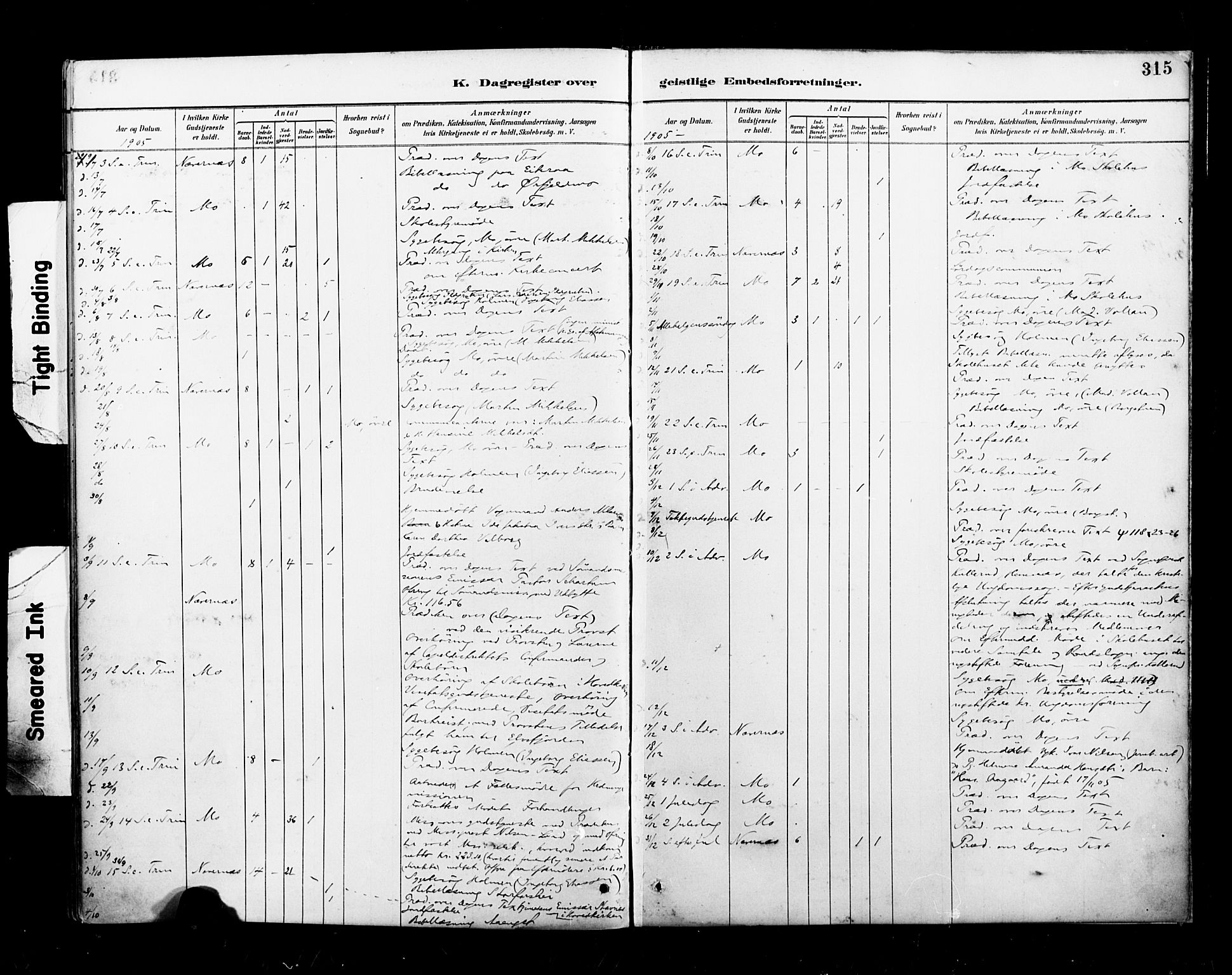 Ministerialprotokoller, klokkerbøker og fødselsregistre - Nordland, AV/SAT-A-1459/827/L0401: Ministerialbok nr. 827A13, 1887-1905, s. 315