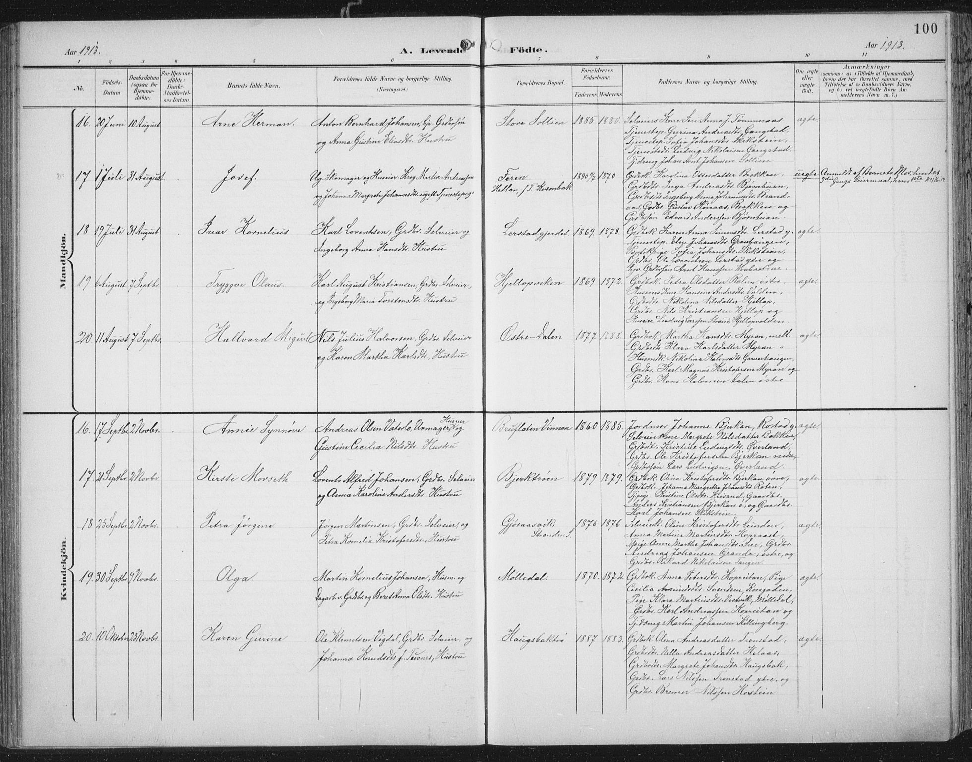 Ministerialprotokoller, klokkerbøker og fødselsregistre - Nord-Trøndelag, SAT/A-1458/701/L0011: Ministerialbok nr. 701A11, 1899-1915, s. 100