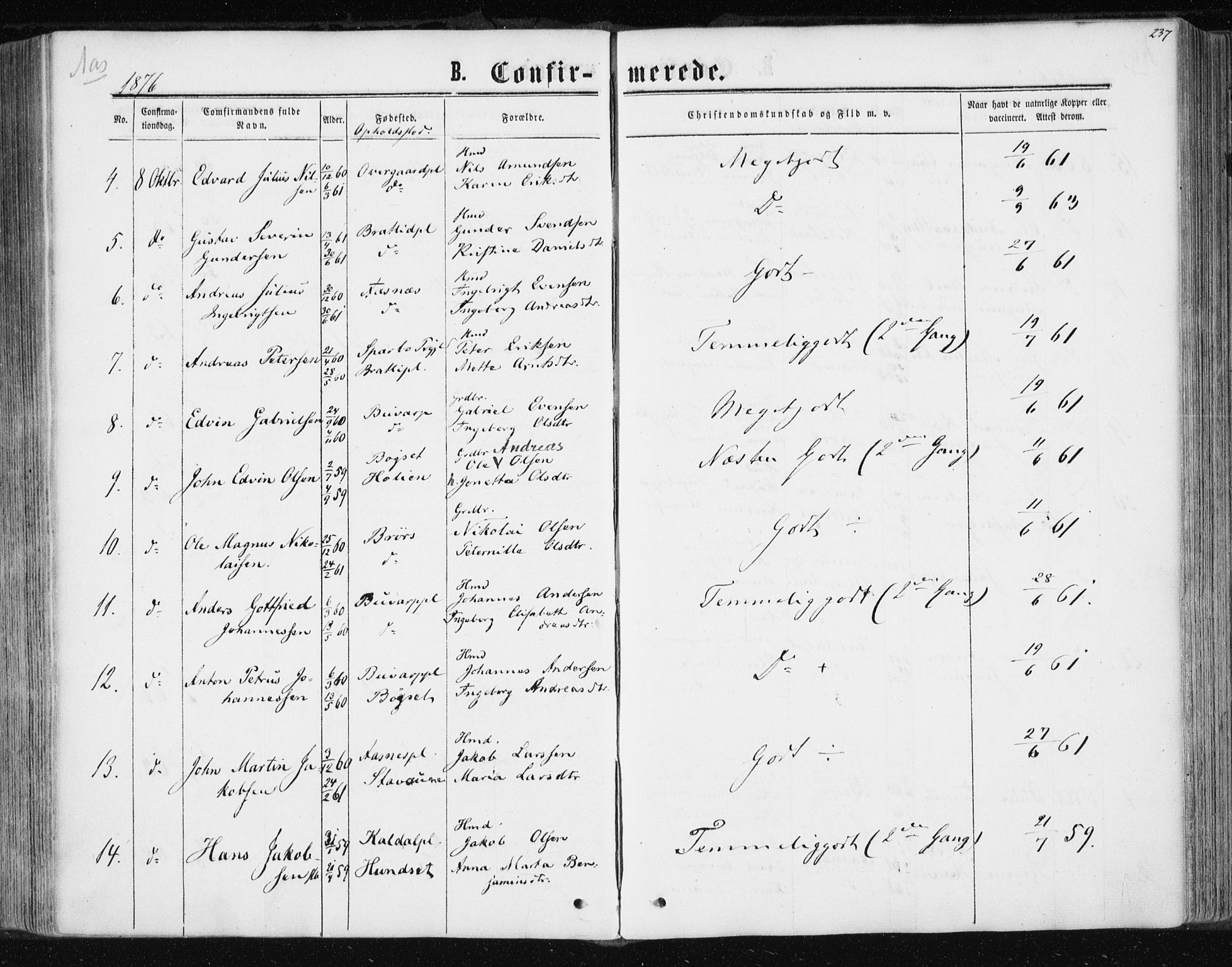 Ministerialprotokoller, klokkerbøker og fødselsregistre - Nord-Trøndelag, AV/SAT-A-1458/741/L0394: Ministerialbok nr. 741A08, 1864-1877, s. 237