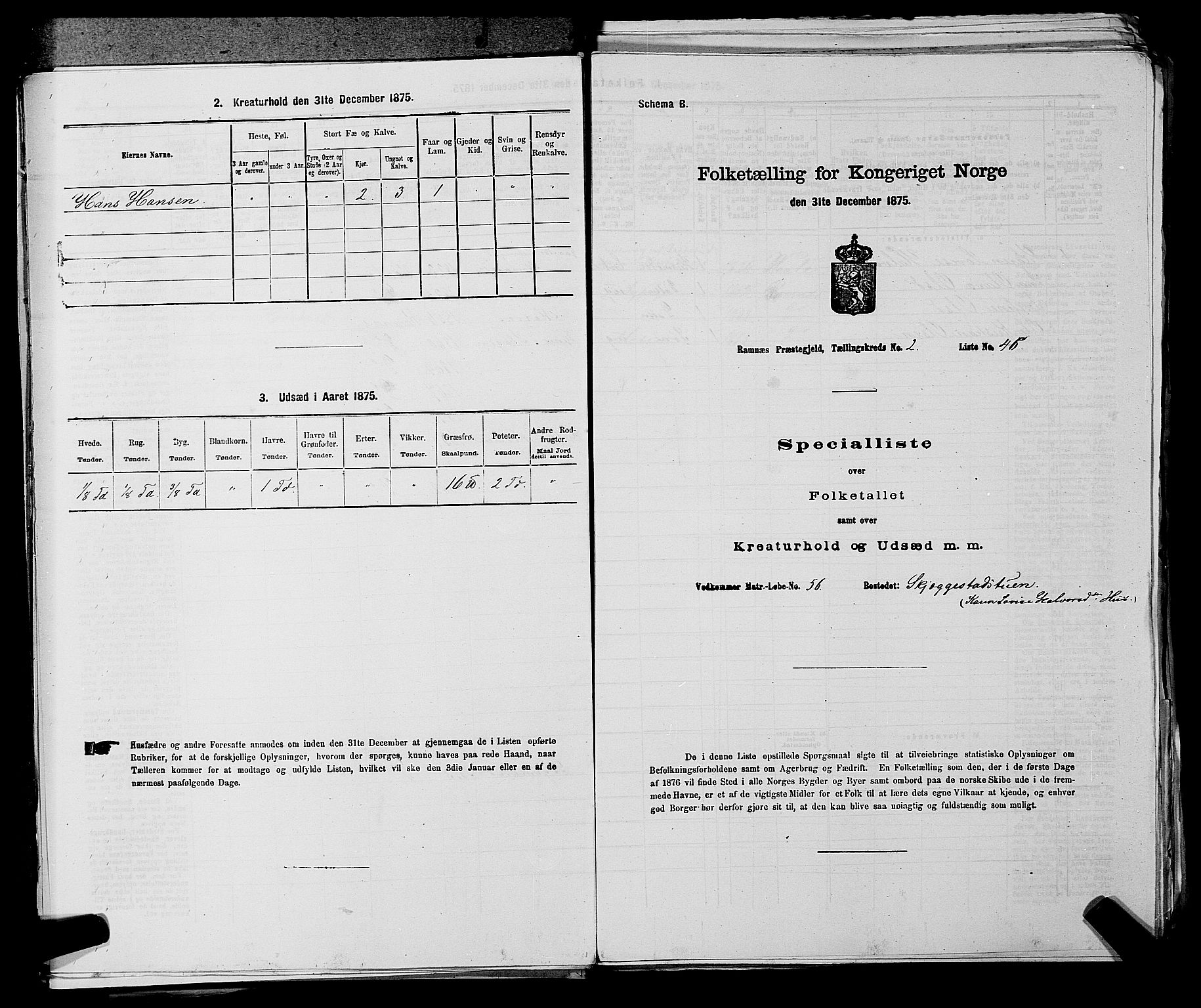 SAKO, Folketelling 1875 for 0718P Ramnes prestegjeld, 1875, s. 244