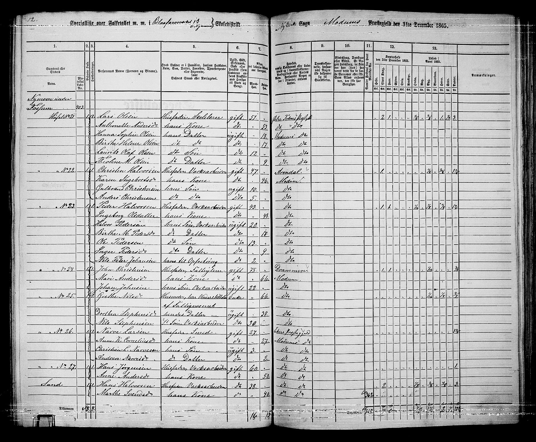 RA, Folketelling 1865 for 0623P Modum prestegjeld, 1865, s. 239