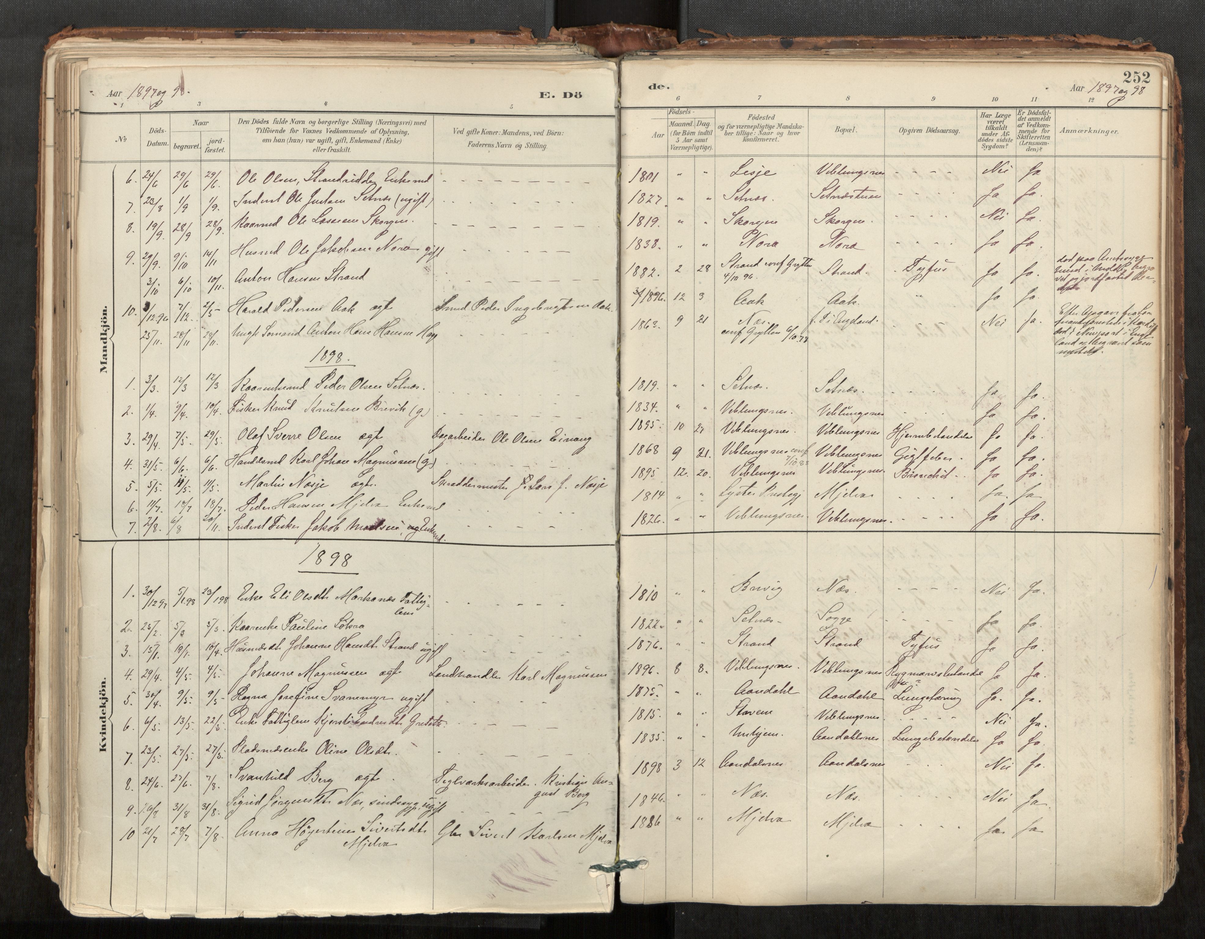 Ministerialprotokoller, klokkerbøker og fødselsregistre - Møre og Romsdal, AV/SAT-A-1454/544/L0585: Ministerialbok nr. 544A06, 1887-1924, s. 252