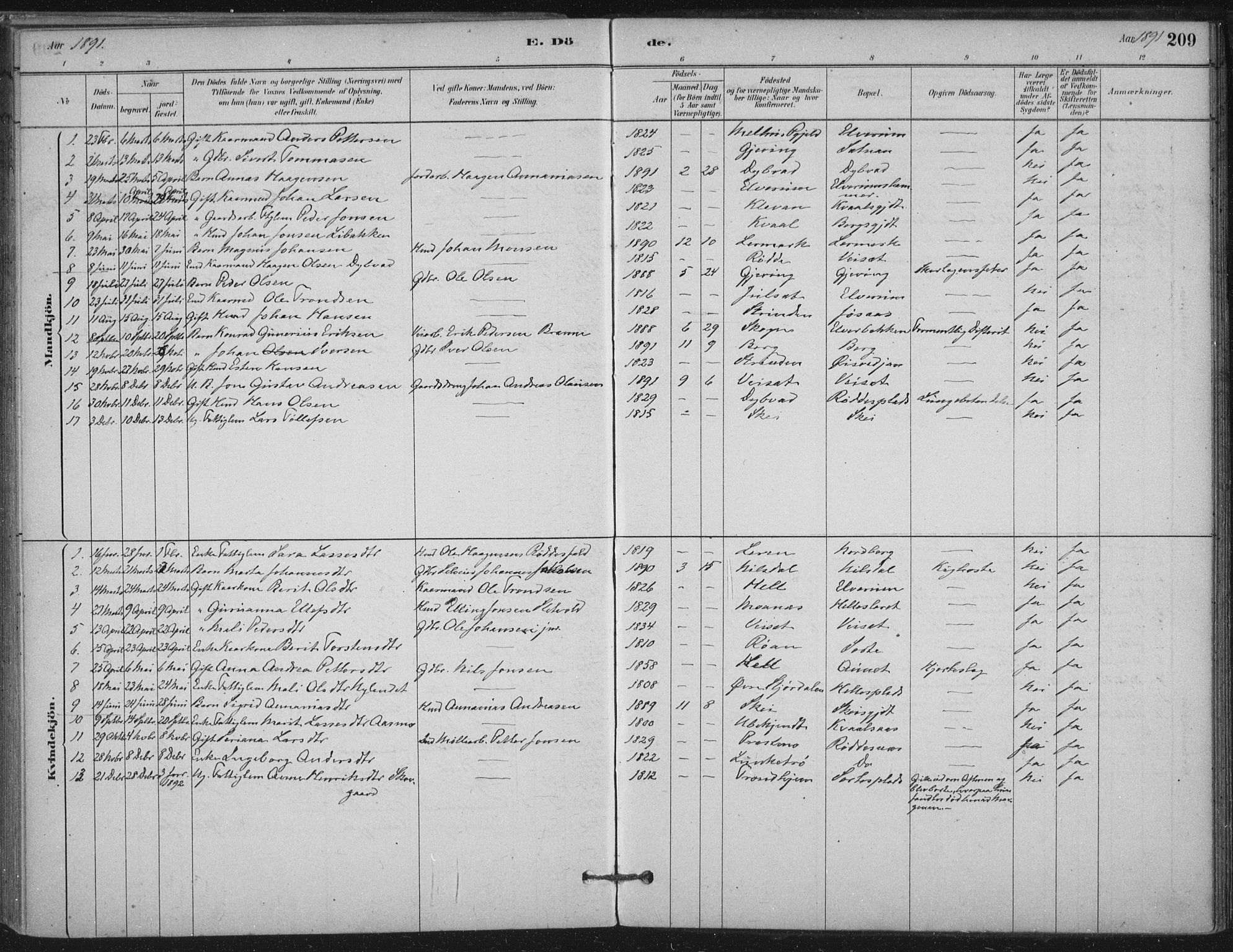 Ministerialprotokoller, klokkerbøker og fødselsregistre - Nord-Trøndelag, SAT/A-1458/710/L0095: Ministerialbok nr. 710A01, 1880-1914, s. 209