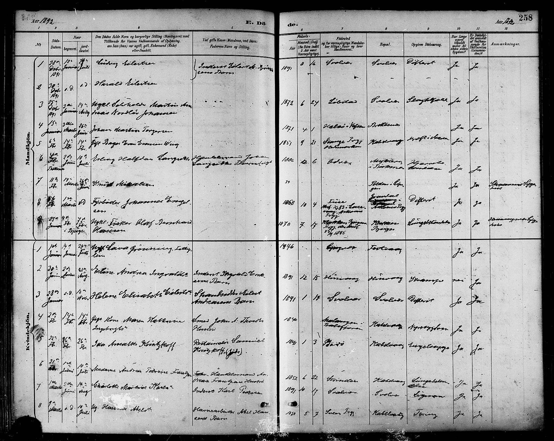 Ministerialprotokoller, klokkerbøker og fødselsregistre - Nordland, SAT/A-1459/874/L1060: Ministerialbok nr. 874A04, 1890-1899, s. 258