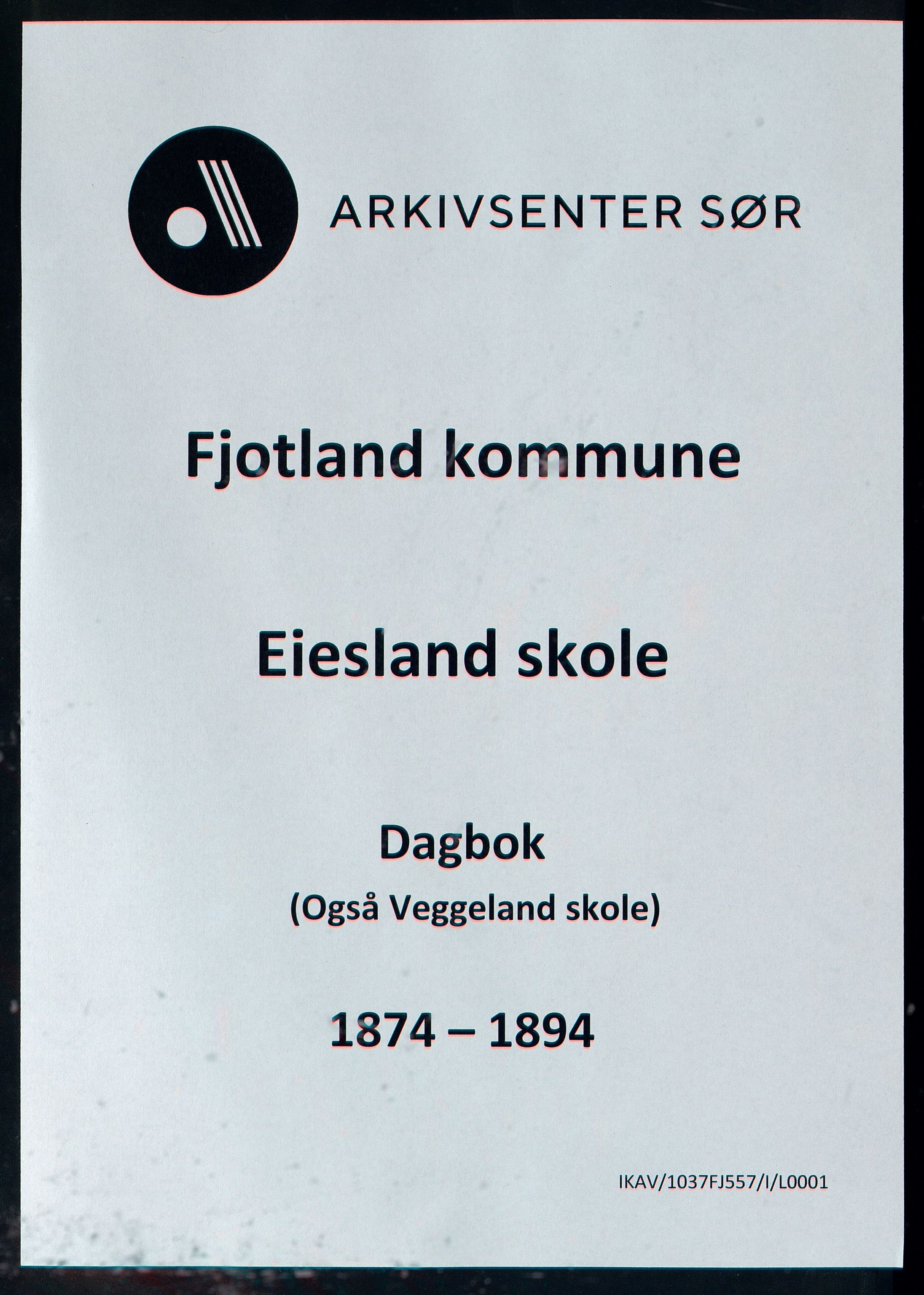 Fjotland kommune - Eiesland Skole, ARKSOR/1037FJ557/I/L0001: Dagbok, også Veggeland skole, 1874-1894