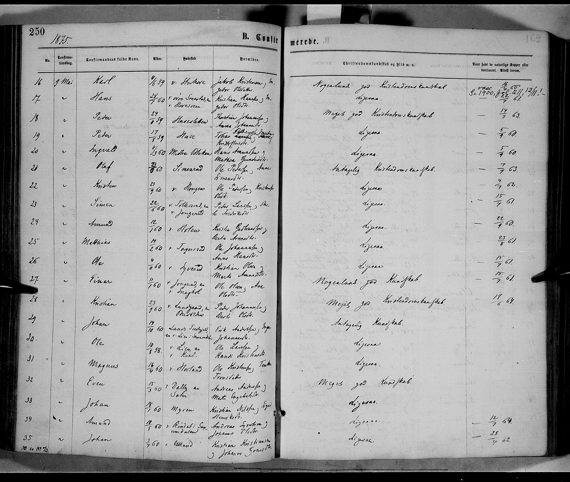 Fåberg prestekontor, AV/SAH-PREST-086/H/Ha/Haa/L0007: Ministerialbok nr. 7, 1868-1878, s. 250