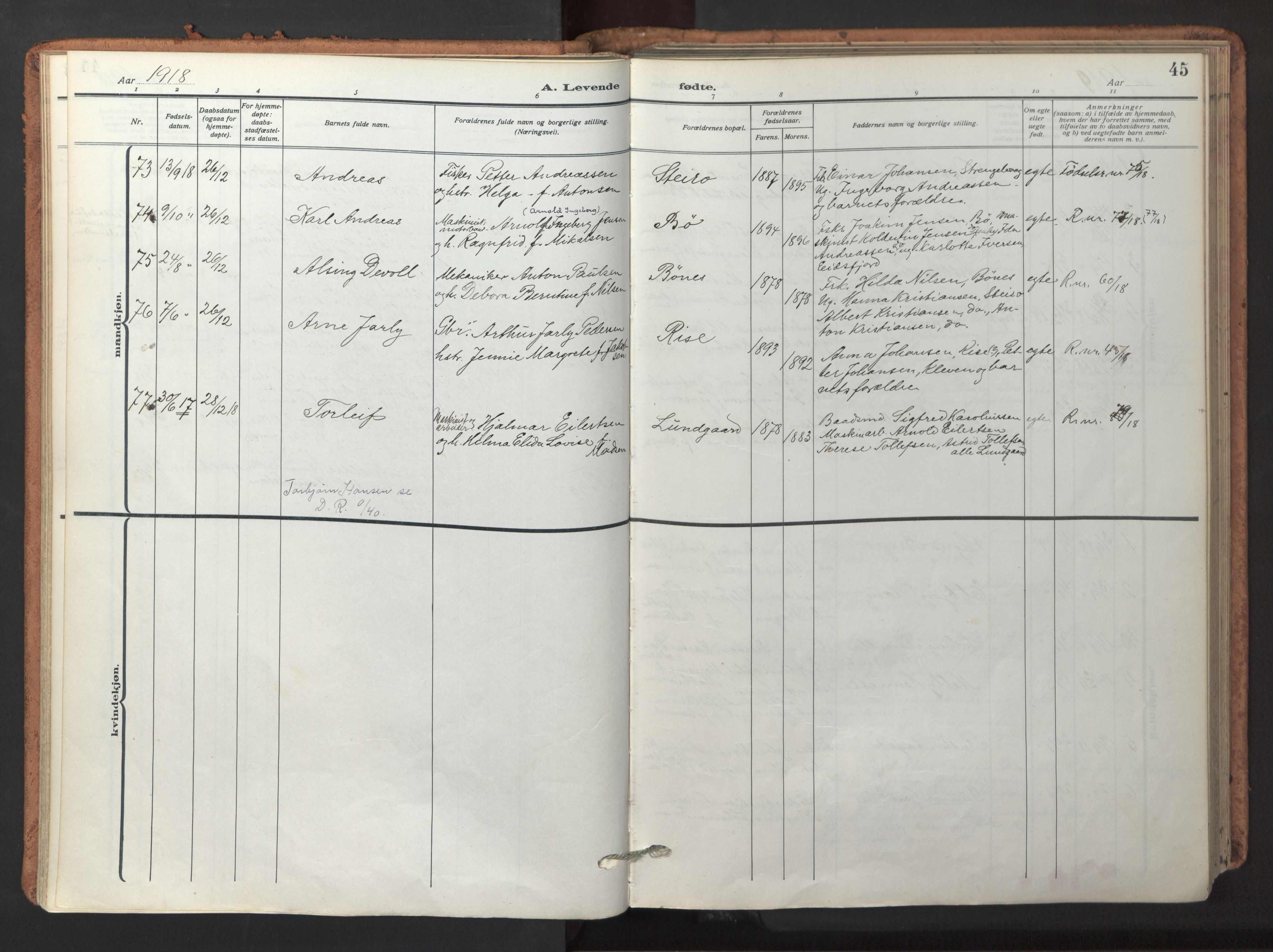 Ministerialprotokoller, klokkerbøker og fødselsregistre - Nordland, AV/SAT-A-1459/895/L1374: Ministerialbok nr. 895A09, 1915-1925, s. 45