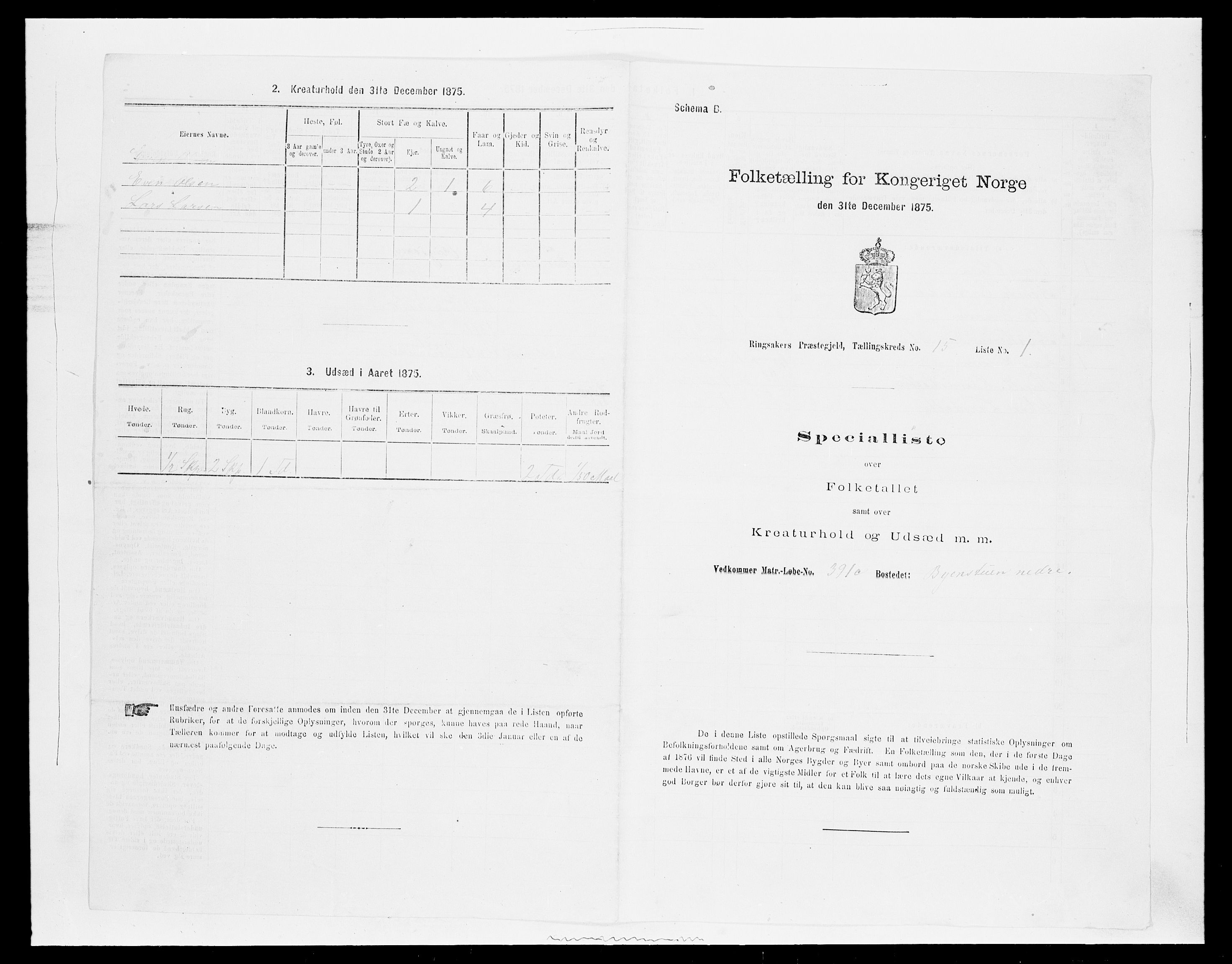 SAH, Folketelling 1875 for 0412P Ringsaker prestegjeld, 1875, s. 3032