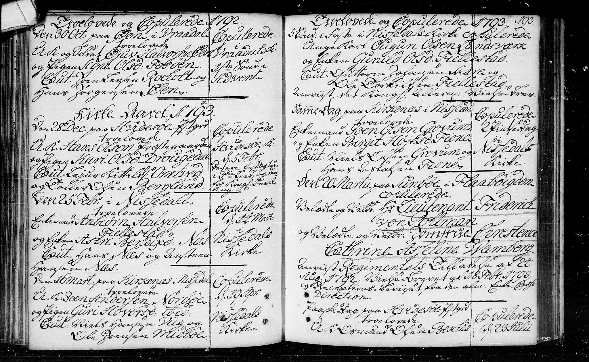 Kviteseid kirkebøker, AV/SAKO-A-276/F/Fa/L0003: Ministerialbok nr. I 3, 1787-1799, s. 193