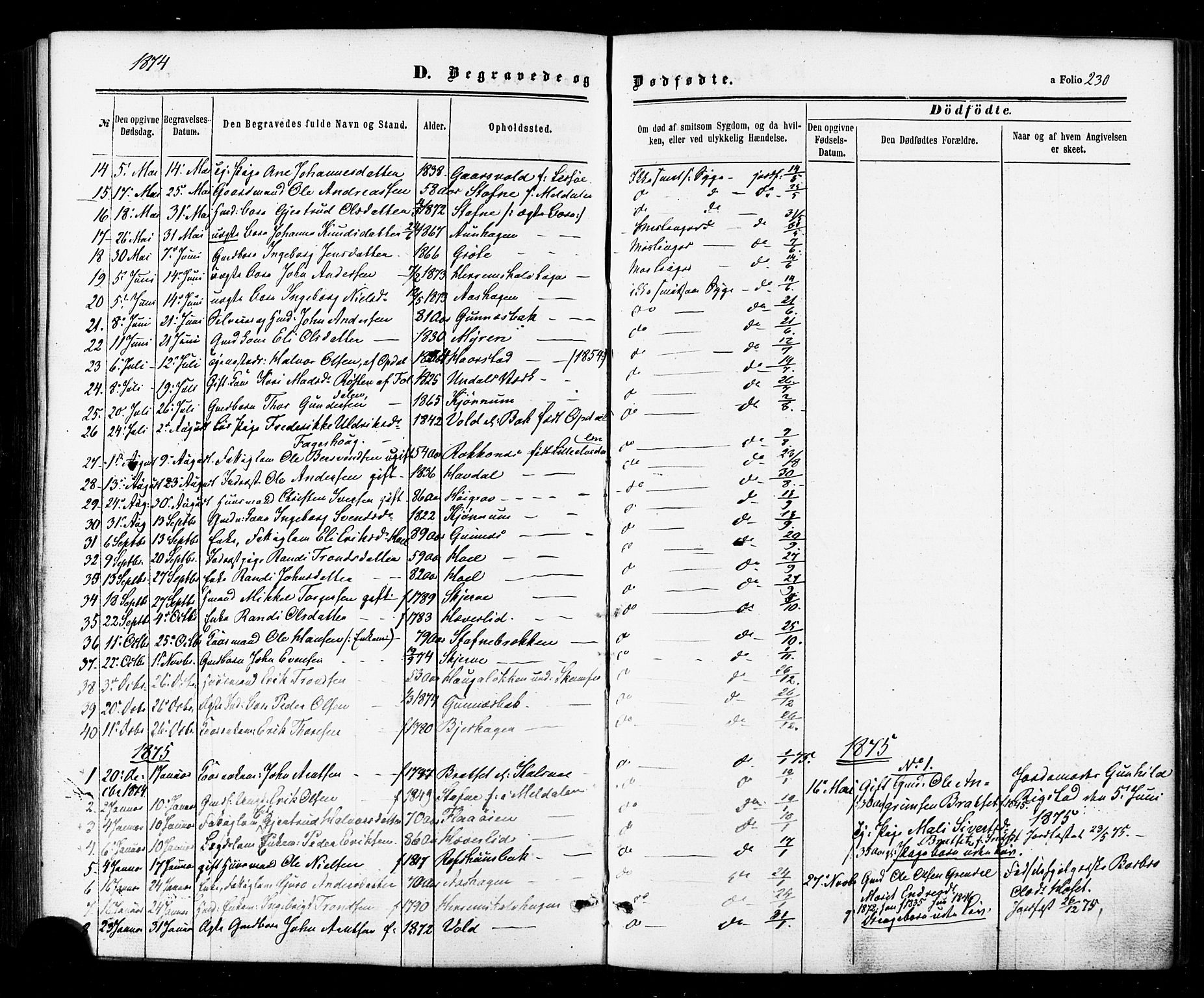 Ministerialprotokoller, klokkerbøker og fødselsregistre - Sør-Trøndelag, AV/SAT-A-1456/674/L0870: Ministerialbok nr. 674A02, 1861-1879, s. 230