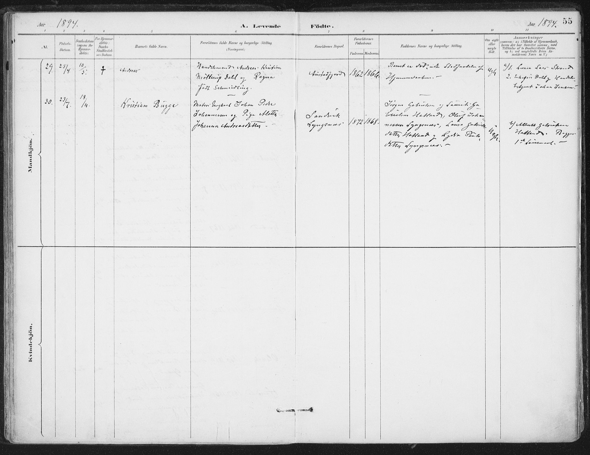 Ministerialprotokoller, klokkerbøker og fødselsregistre - Nord-Trøndelag, AV/SAT-A-1458/786/L0687: Ministerialbok nr. 786A03, 1888-1898, s. 55