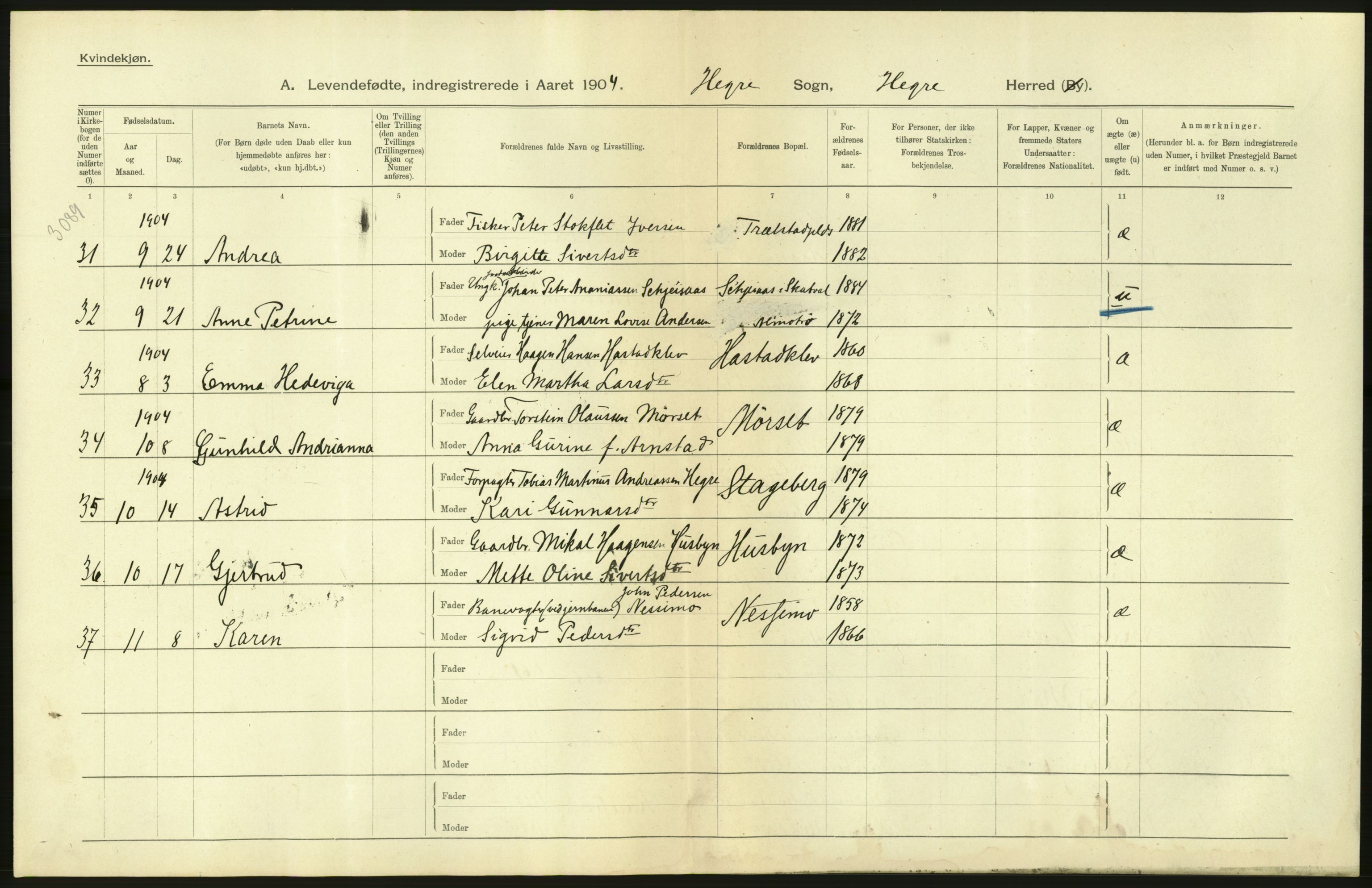 Statistisk sentralbyrå, Sosiodemografiske emner, Befolkning, RA/S-2228/D/Df/Dfa/Dfab/L0019: Nordre Trondhjems amt: Fødte, gifte, døde, 1904, s. 64