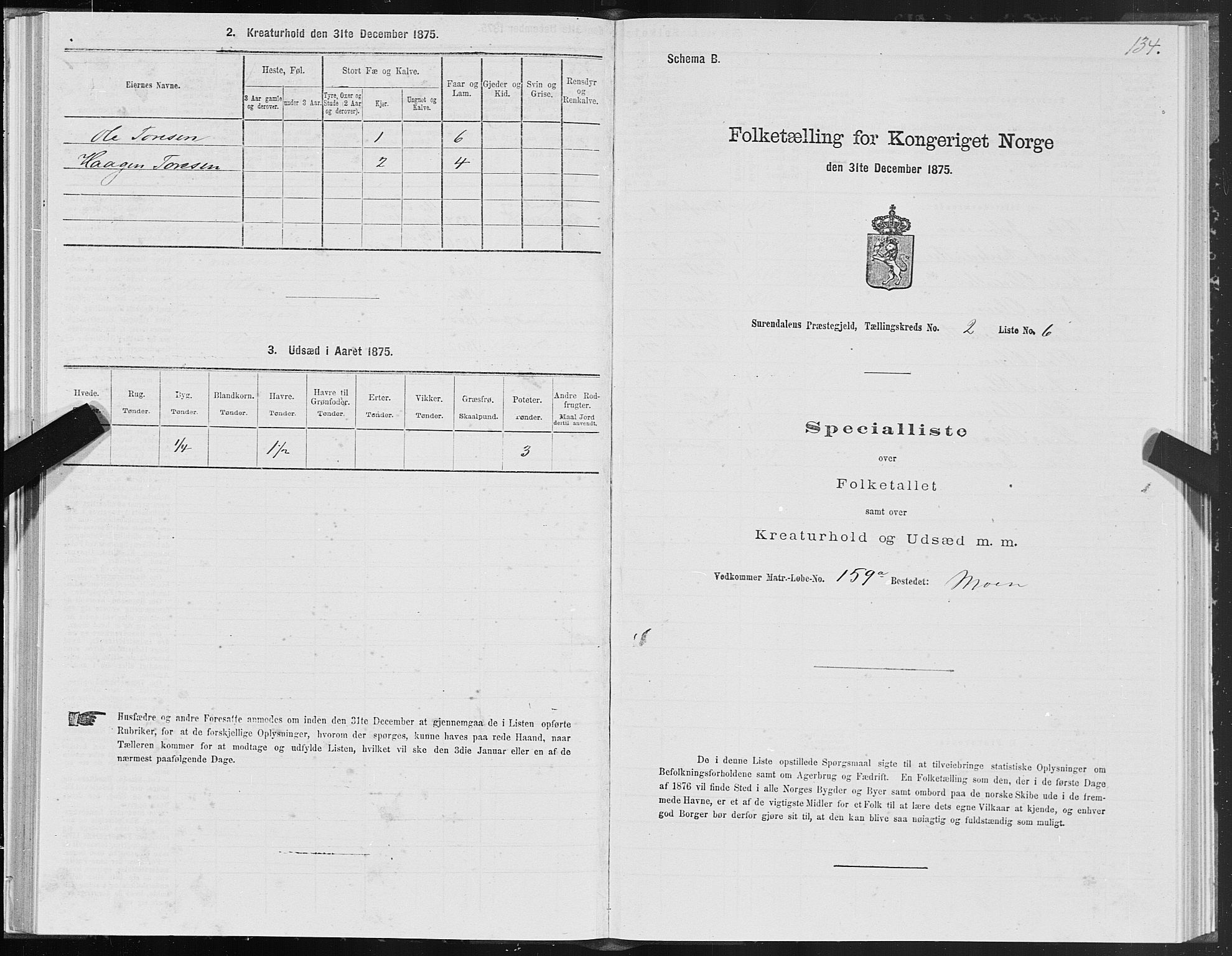 SAT, Folketelling 1875 for 1566P Surnadal prestegjeld, 1875, s. 1134