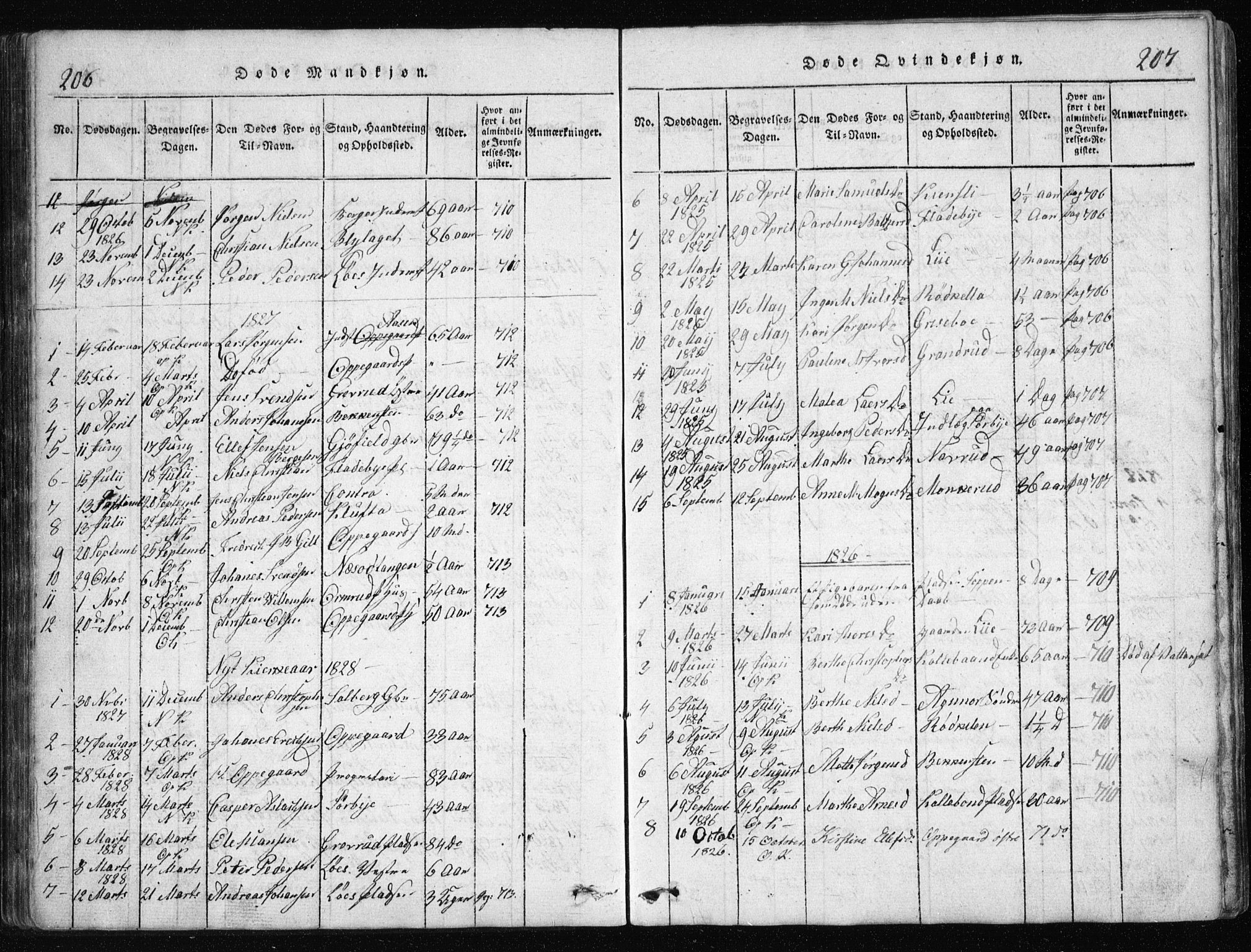 Nesodden prestekontor Kirkebøker, AV/SAO-A-10013/G/Ga/L0001: Klokkerbok nr. I 1, 1814-1847, s. 206-207