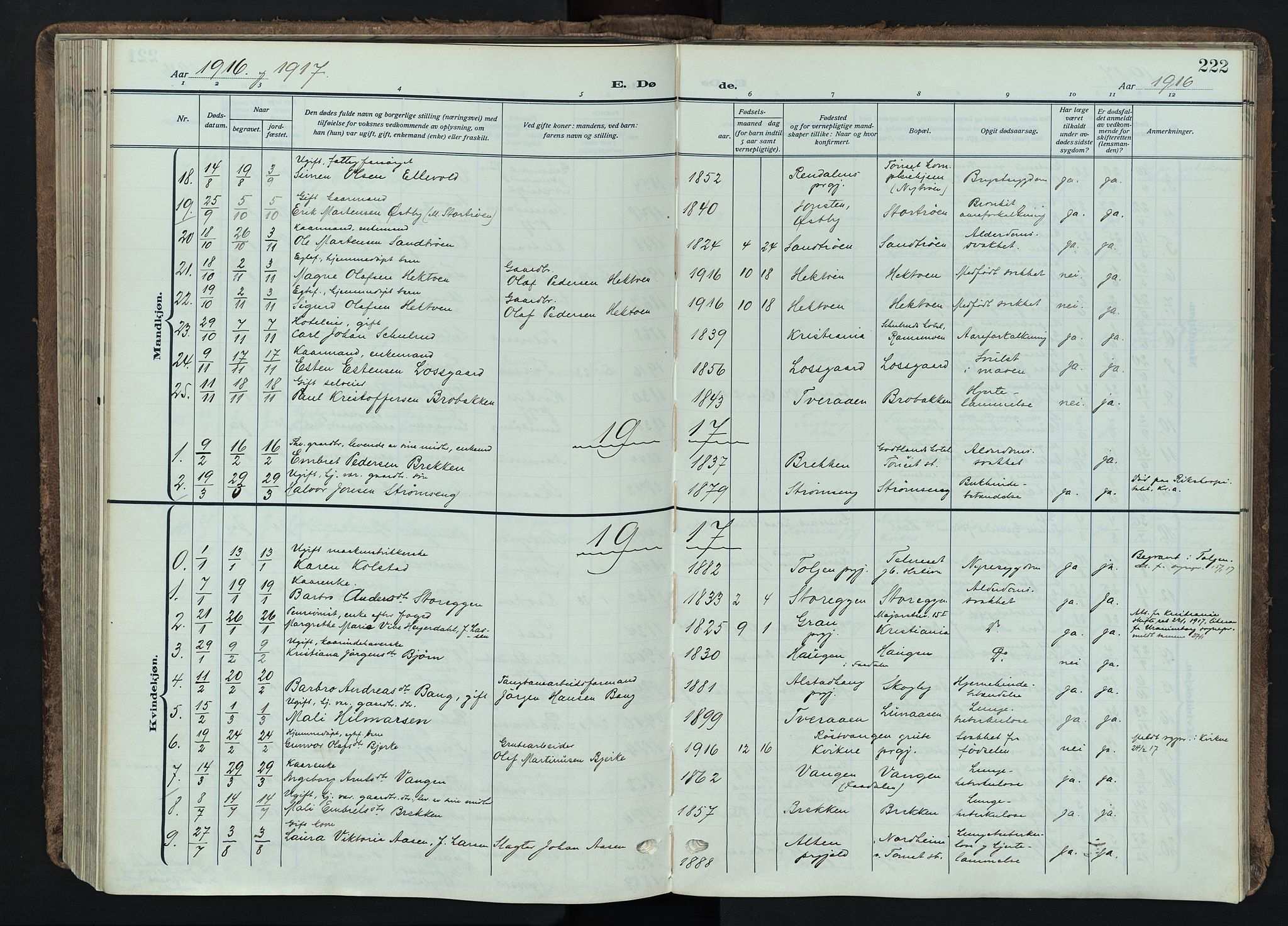 Tynset prestekontor, AV/SAH-PREST-058/H/Ha/Haa/L0026: Ministerialbok nr. 26, 1915-1929, s. 222